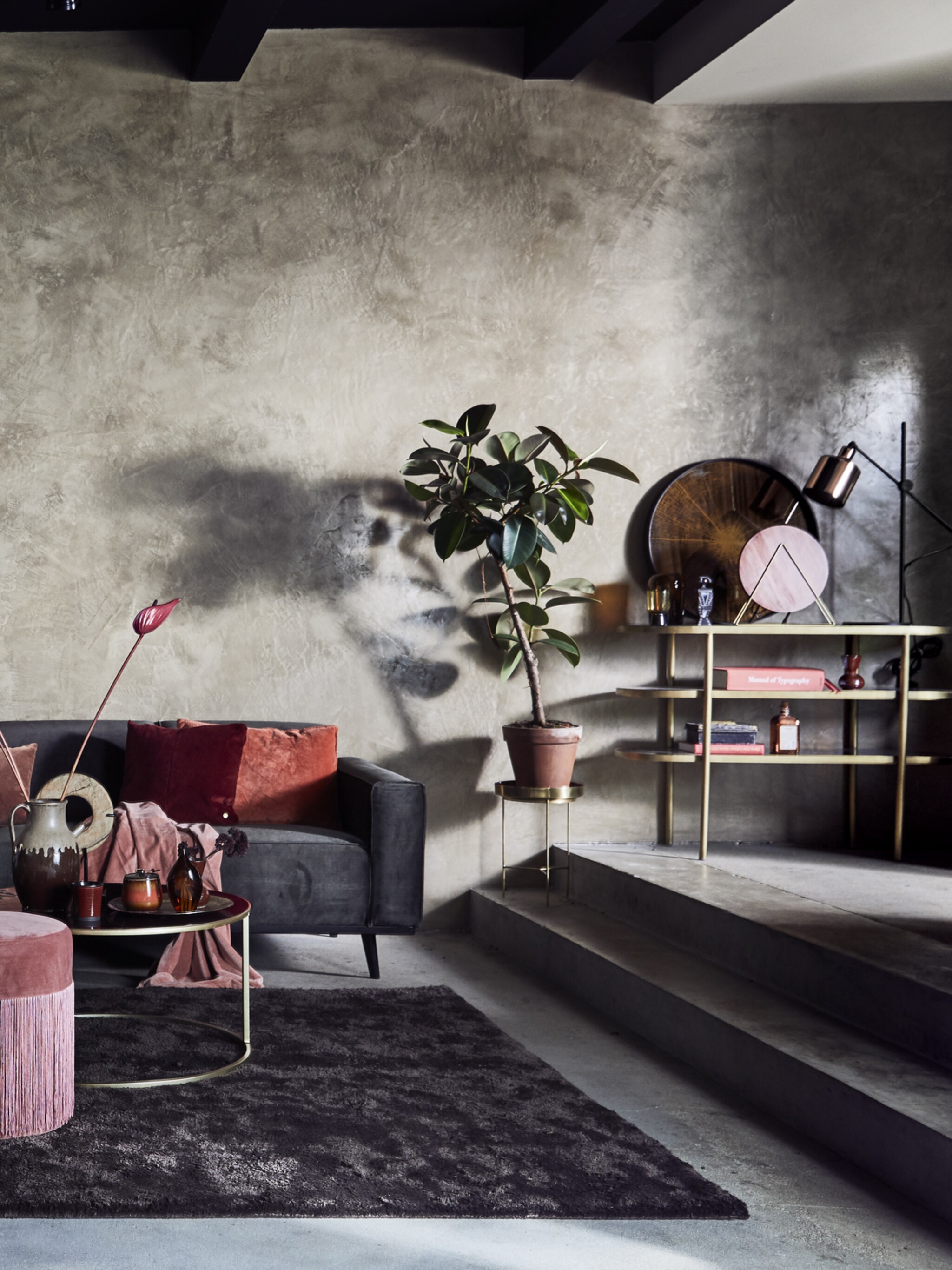 shopgids plantenstandaard