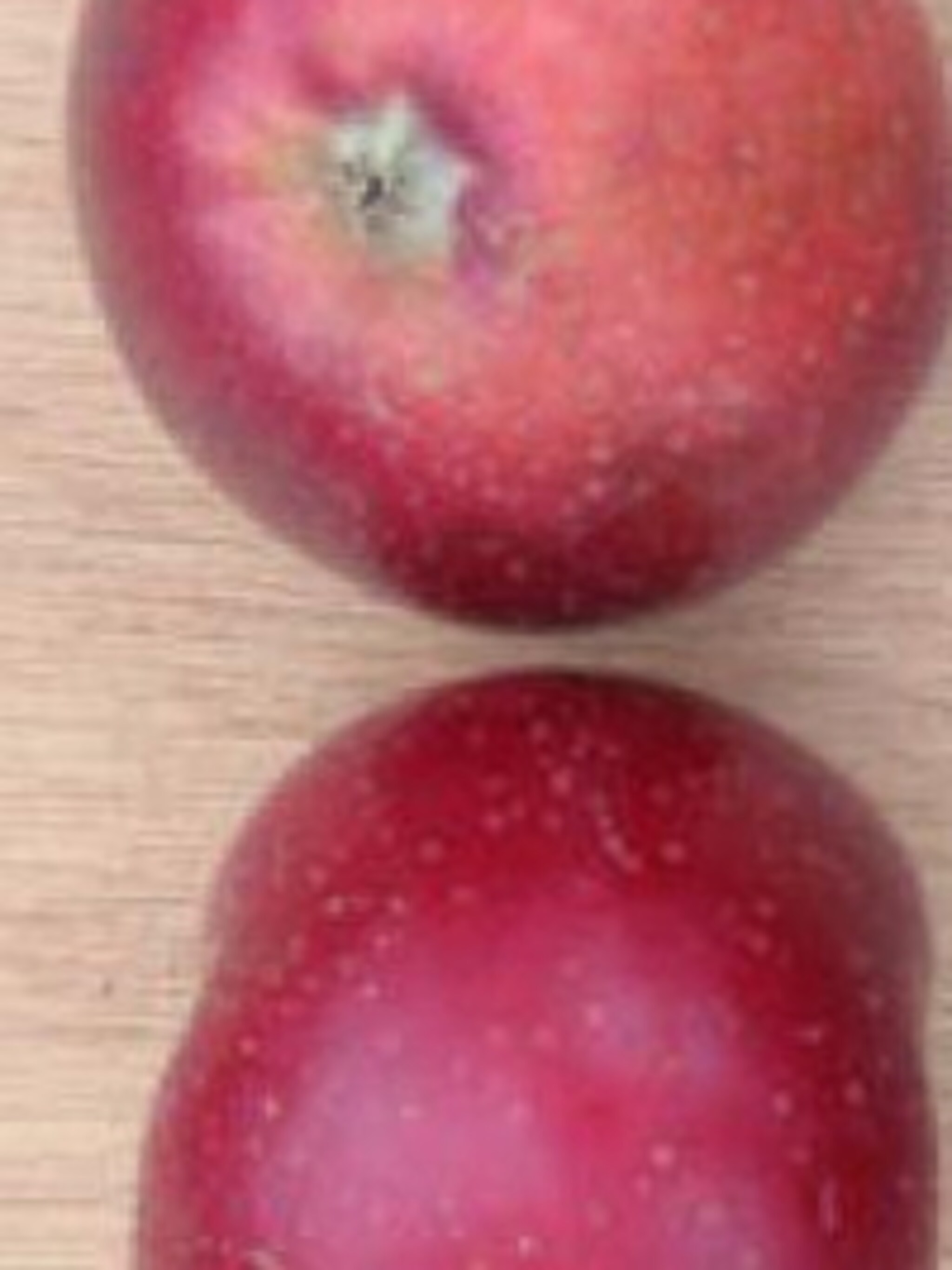 appel sterappel