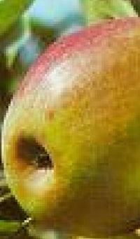 beeld vtwonen