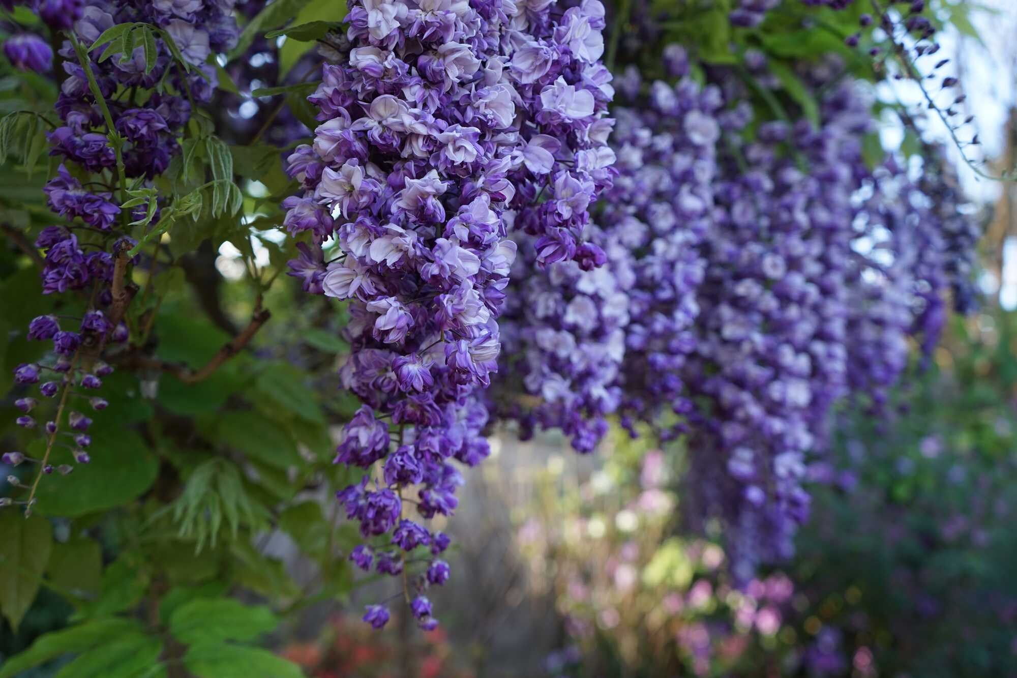 beeld vtwonen Shutterstock / OliviaZStudio