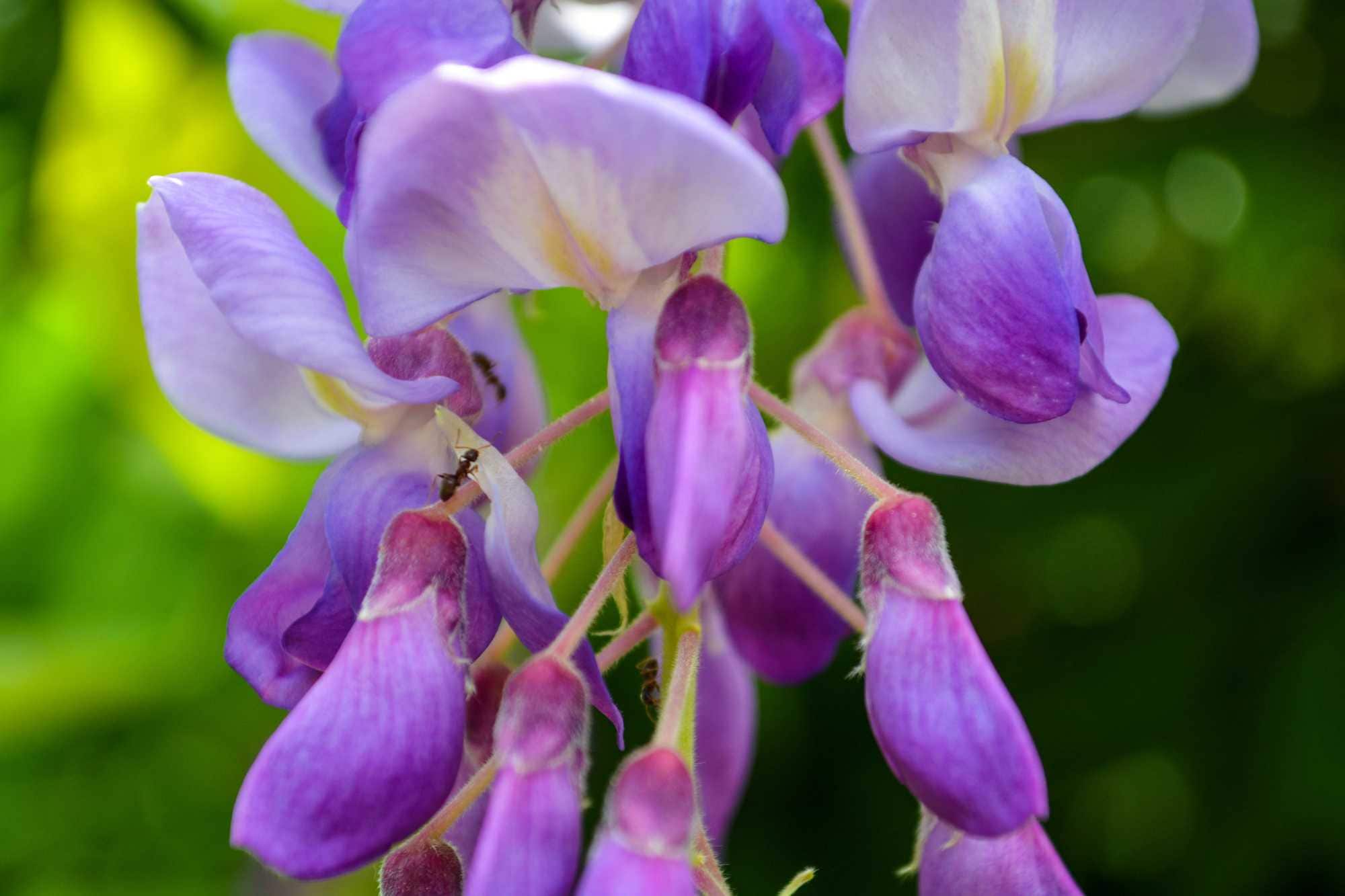 beeld vtwonen Shutterstock / Miranda Maskharashvili