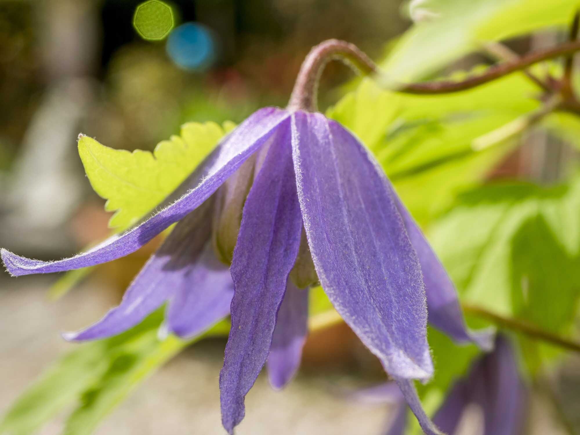 beeld vtwonen Shutterstock / footageclips