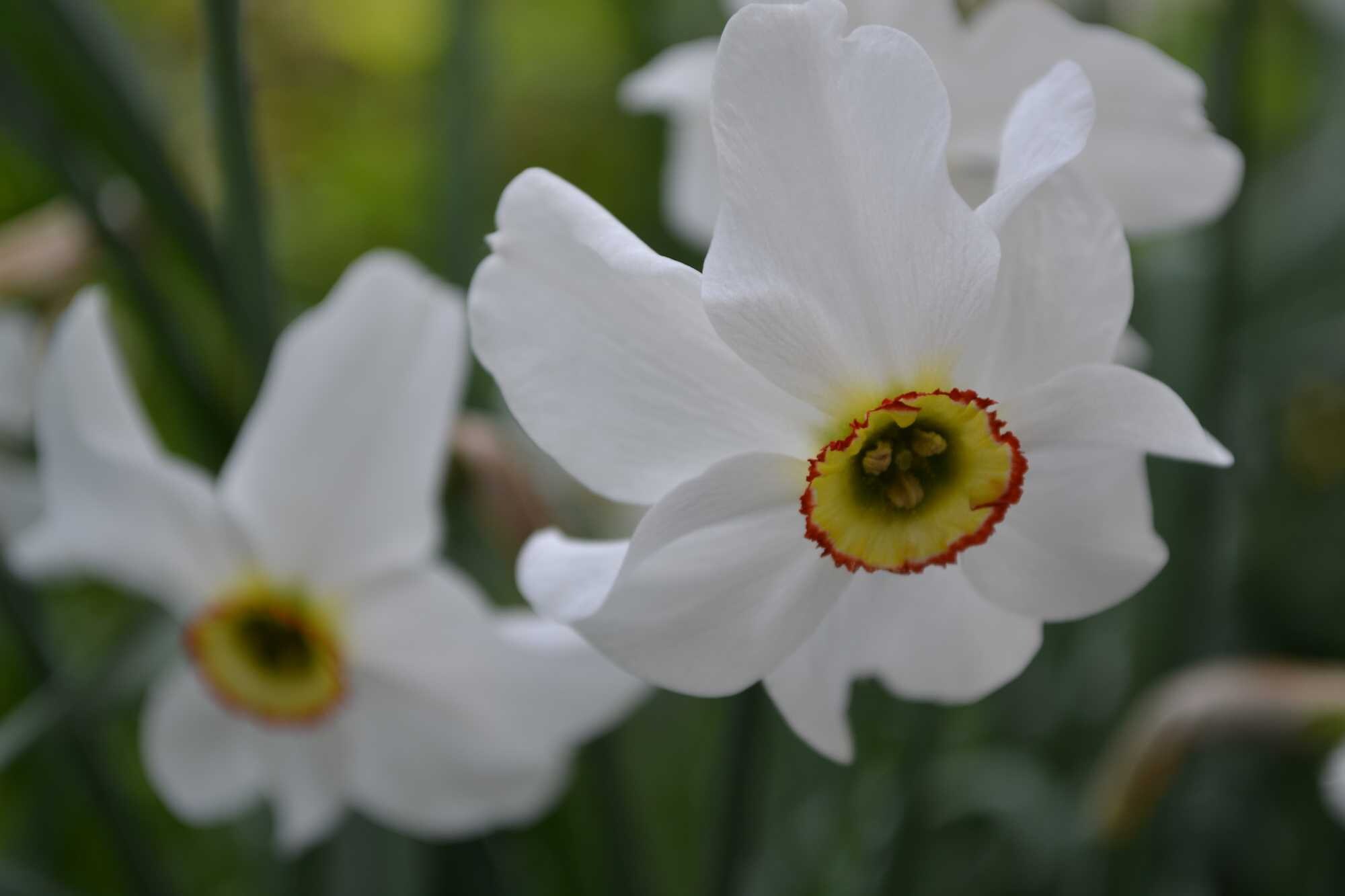 beeld vtwonen Shutterstock / Bubushonok