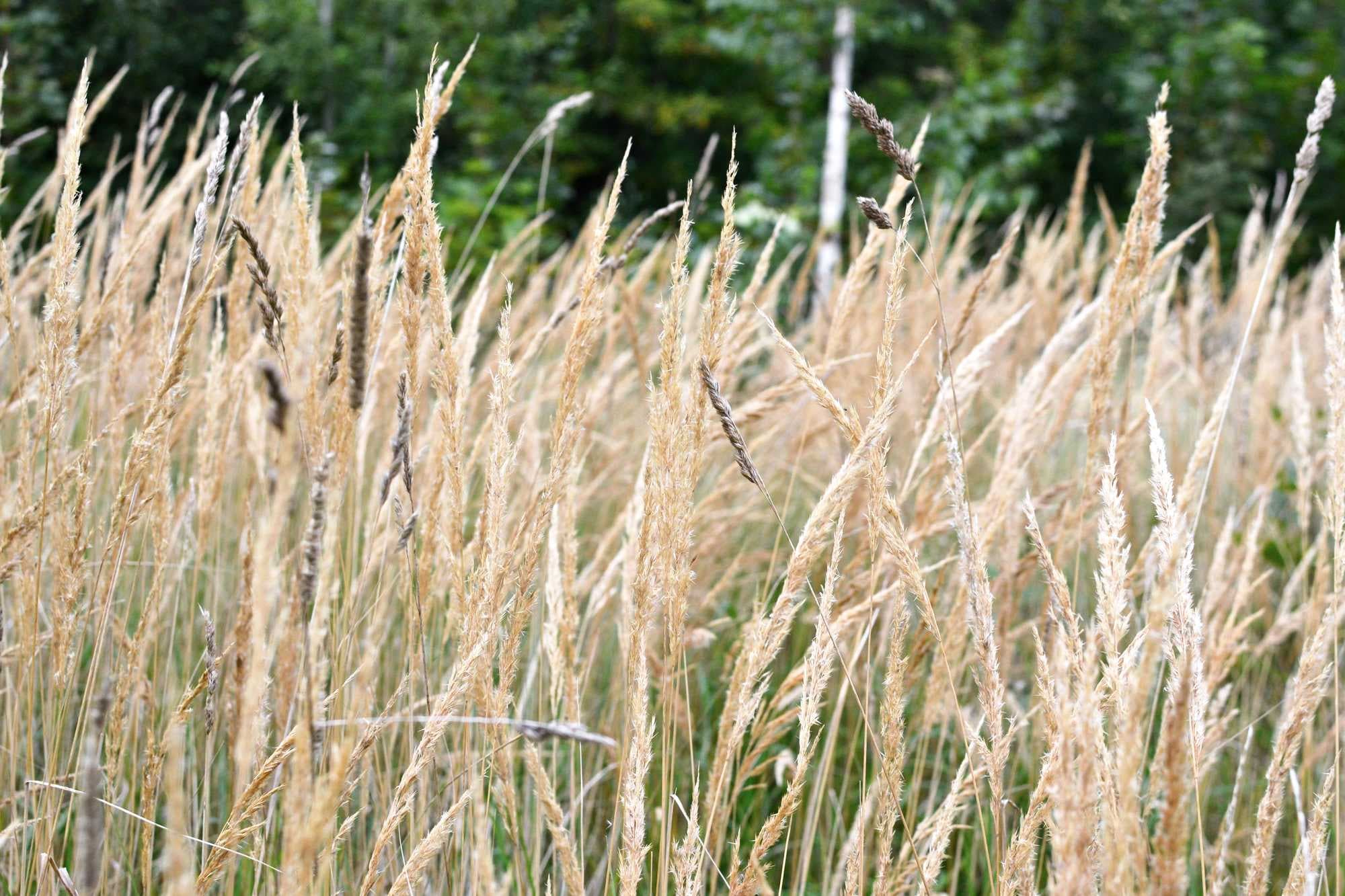 beeld vtwonen Shutterstock / notsuperstar