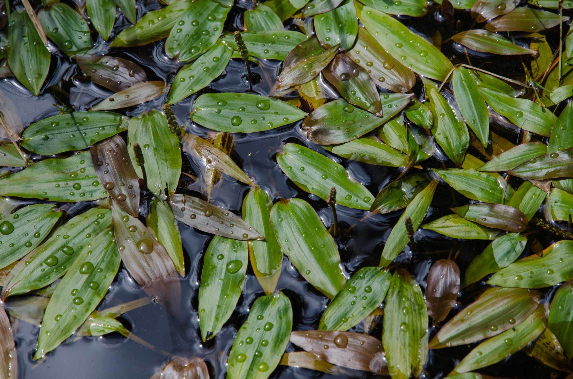 beeld vtwonen Shutterstock / Kennerth Kullman