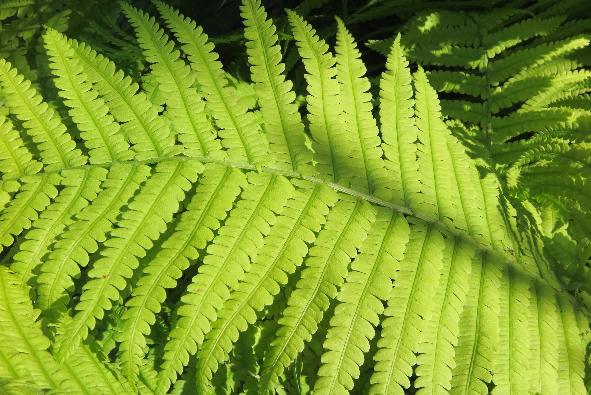beeld vtwonen Shutterstock / photowind