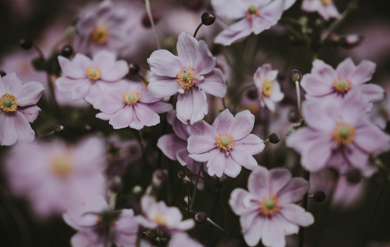 Unsplash Unsplash