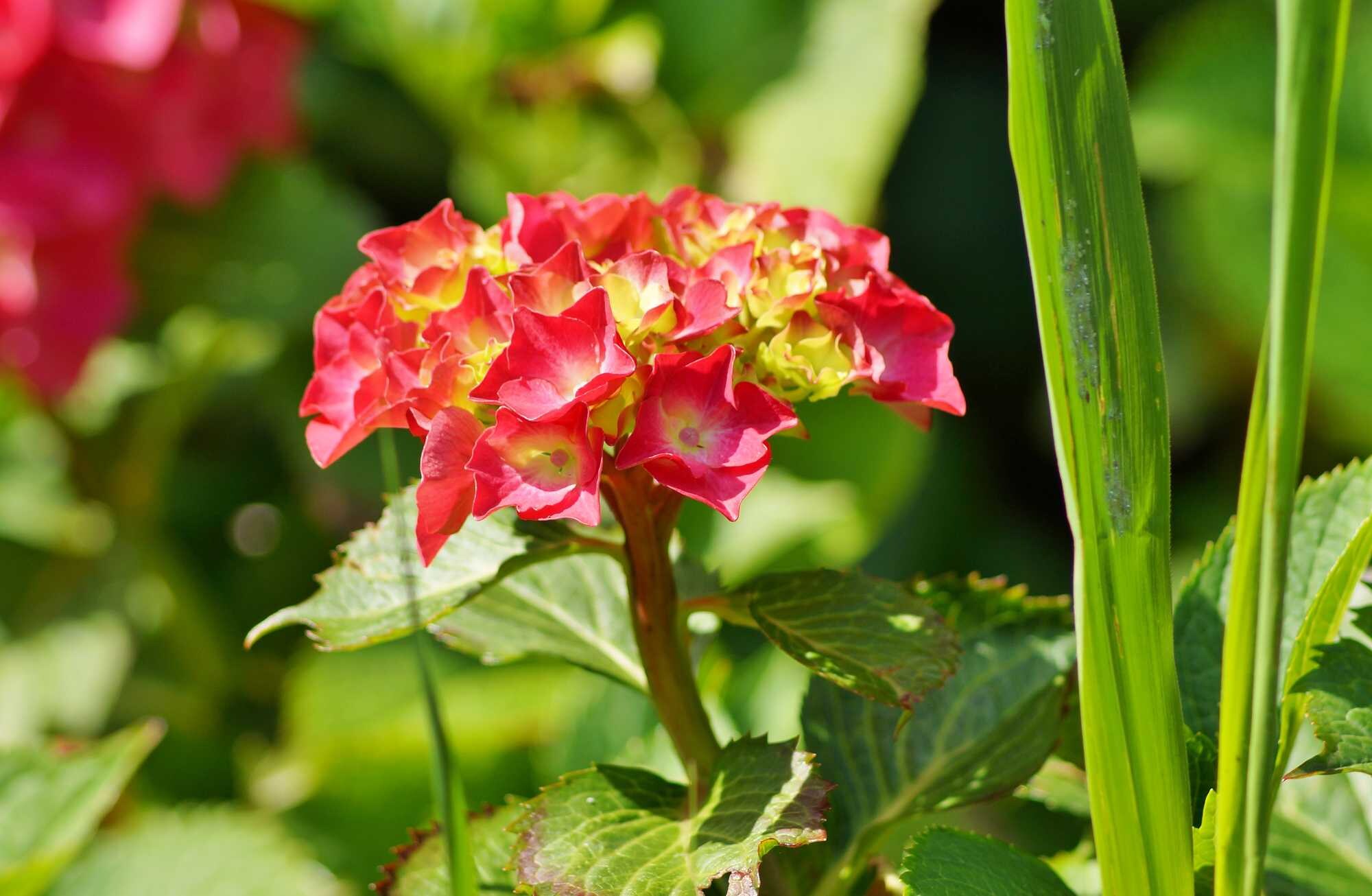 beeld vtwonen Shutterstock / Mariola Anna S