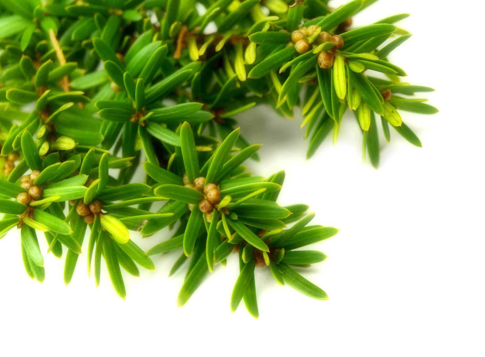 beeld vtwonen Shutterstock / Lukas Gojda