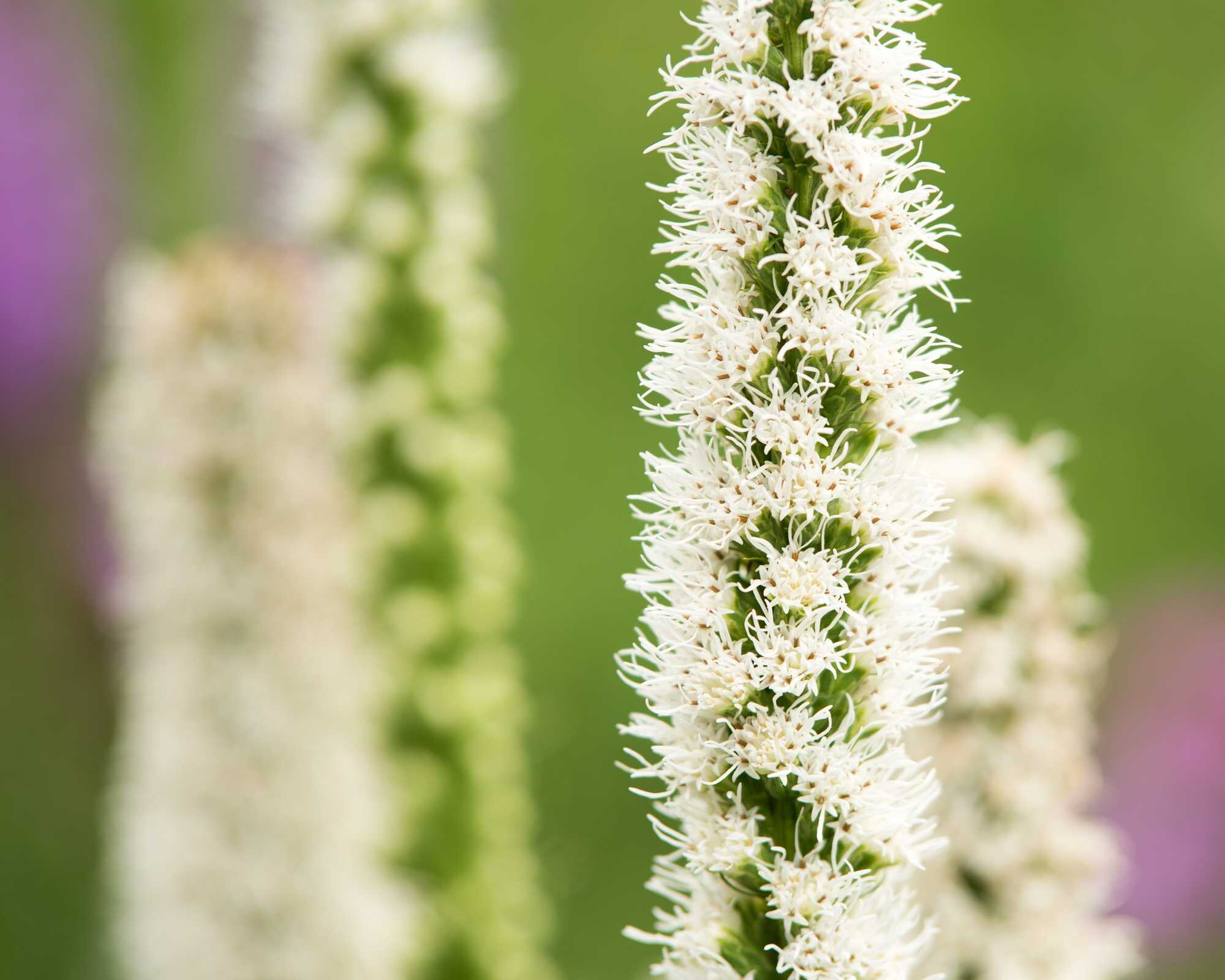 beeld vtwonen Shutterstock / Ottochka
