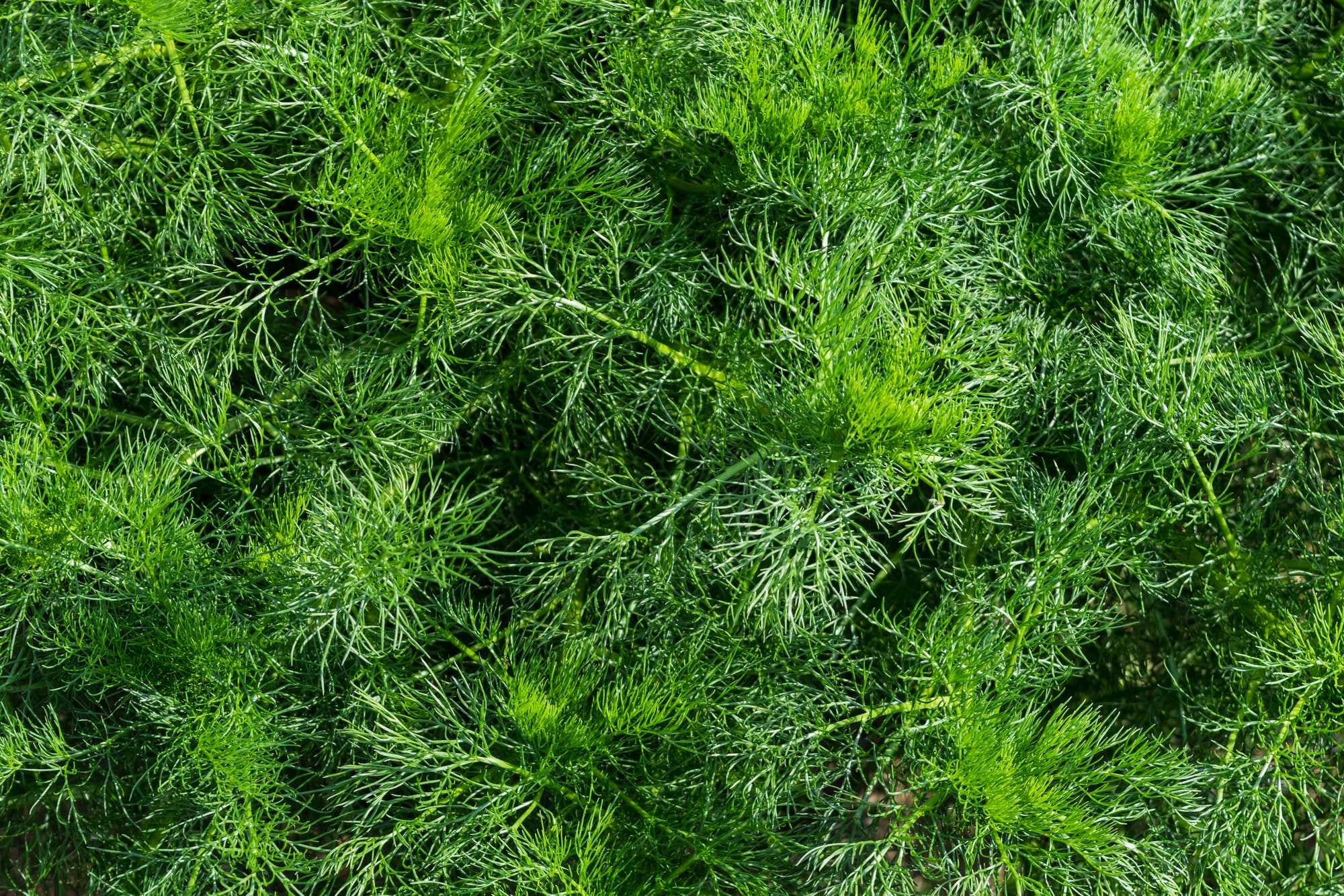 beeld vtwonen Shutterstock / pp1
