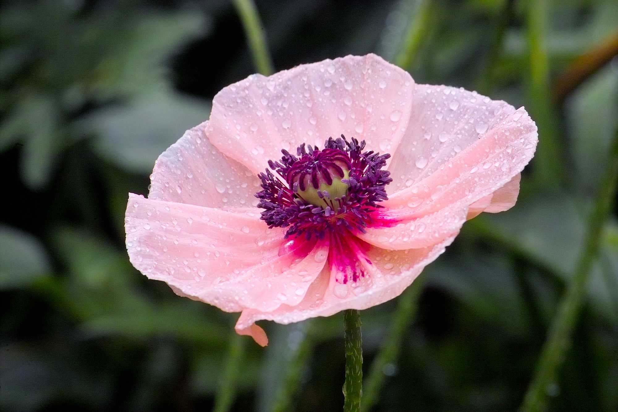 beeld vtwonen Shutterstock / Ole Schoener
