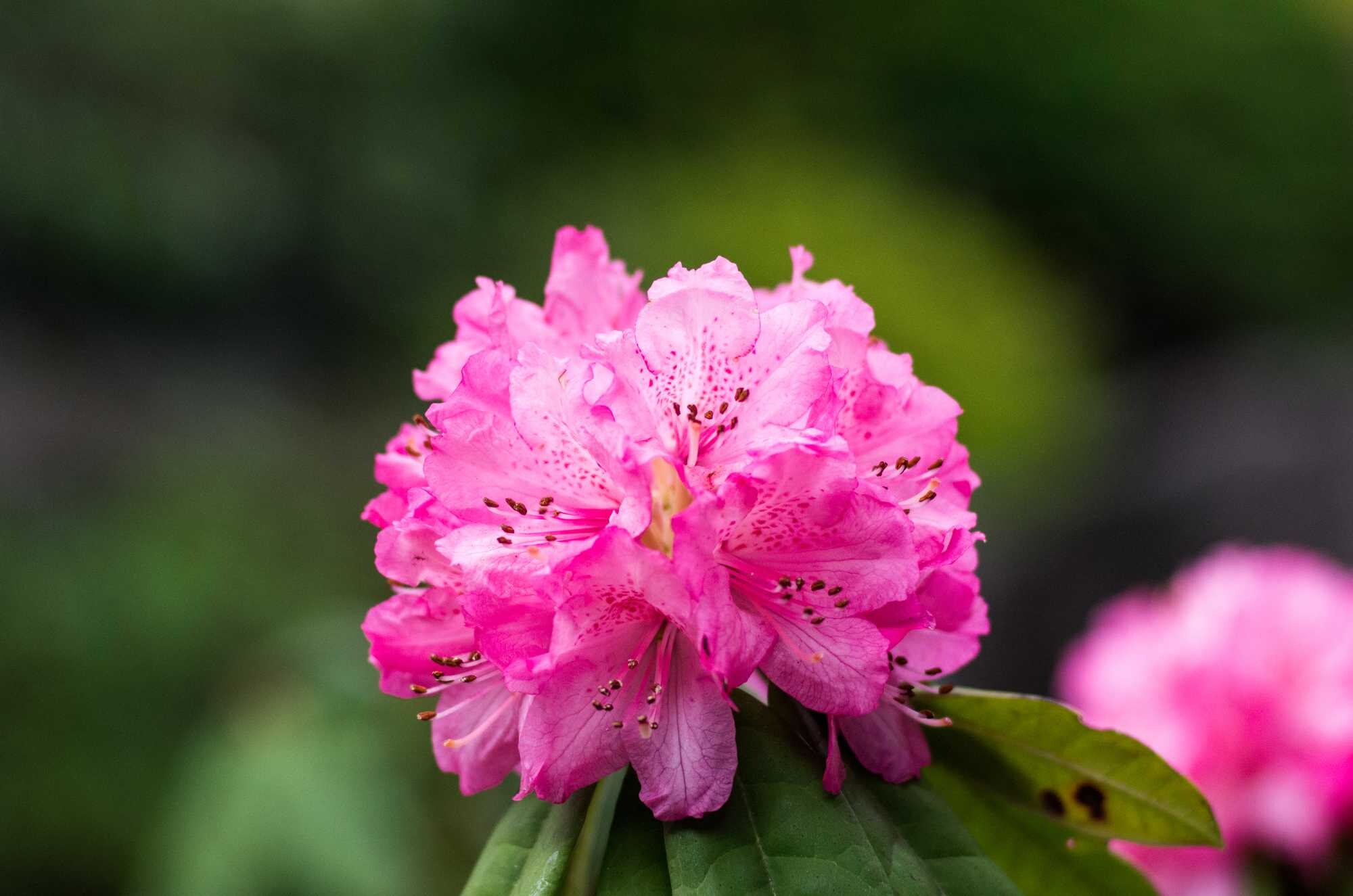 beeld vtwonen Shutterstock / yoko_ken_chan