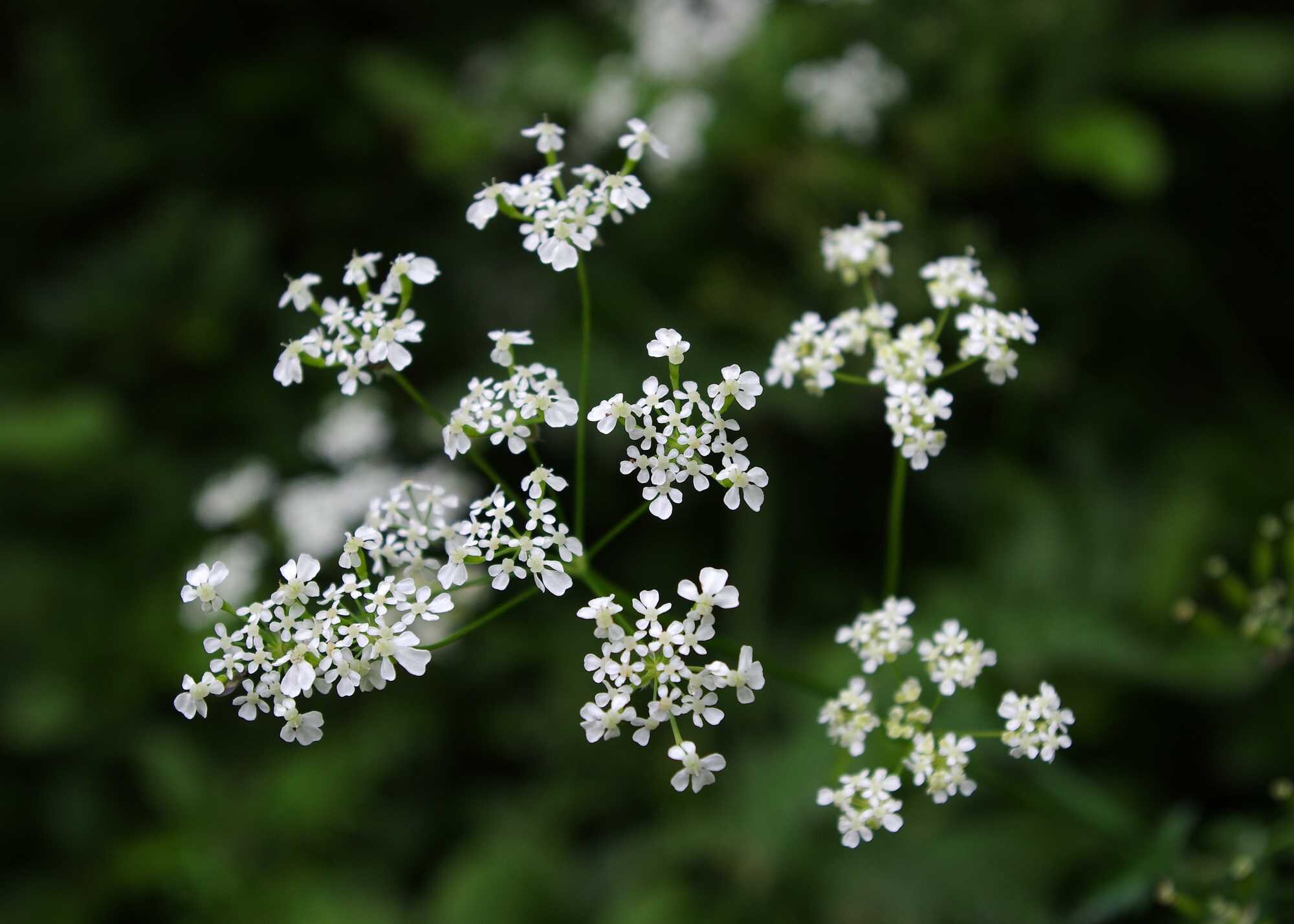 beeld vtwonen Shutterstock / Fitzsimage