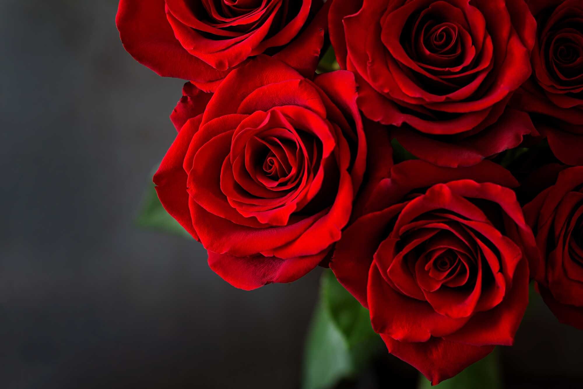 beeld vtwonen Shutterstock / Timolina