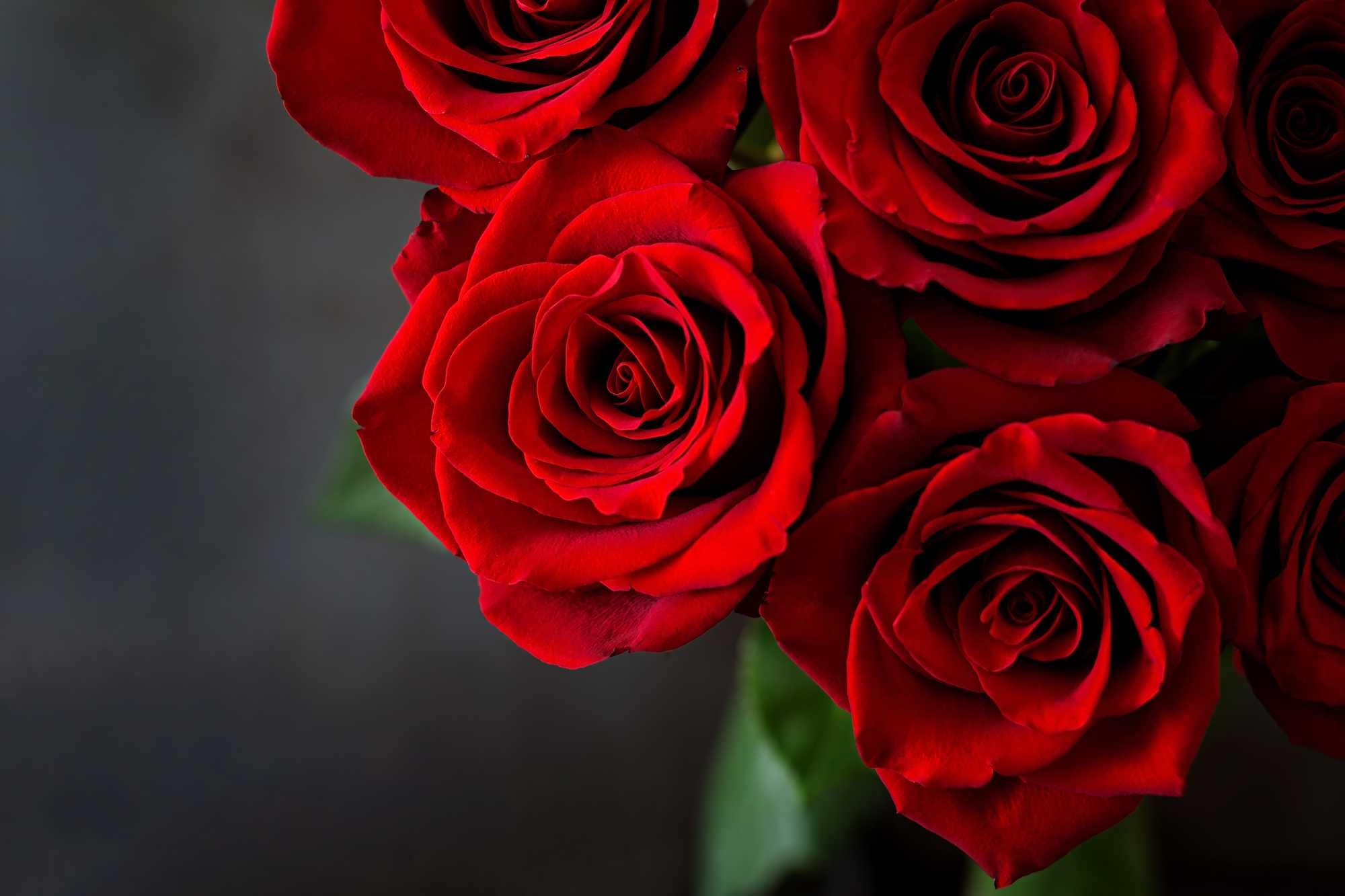 beeld vtwonen Shutterstock / Timolina