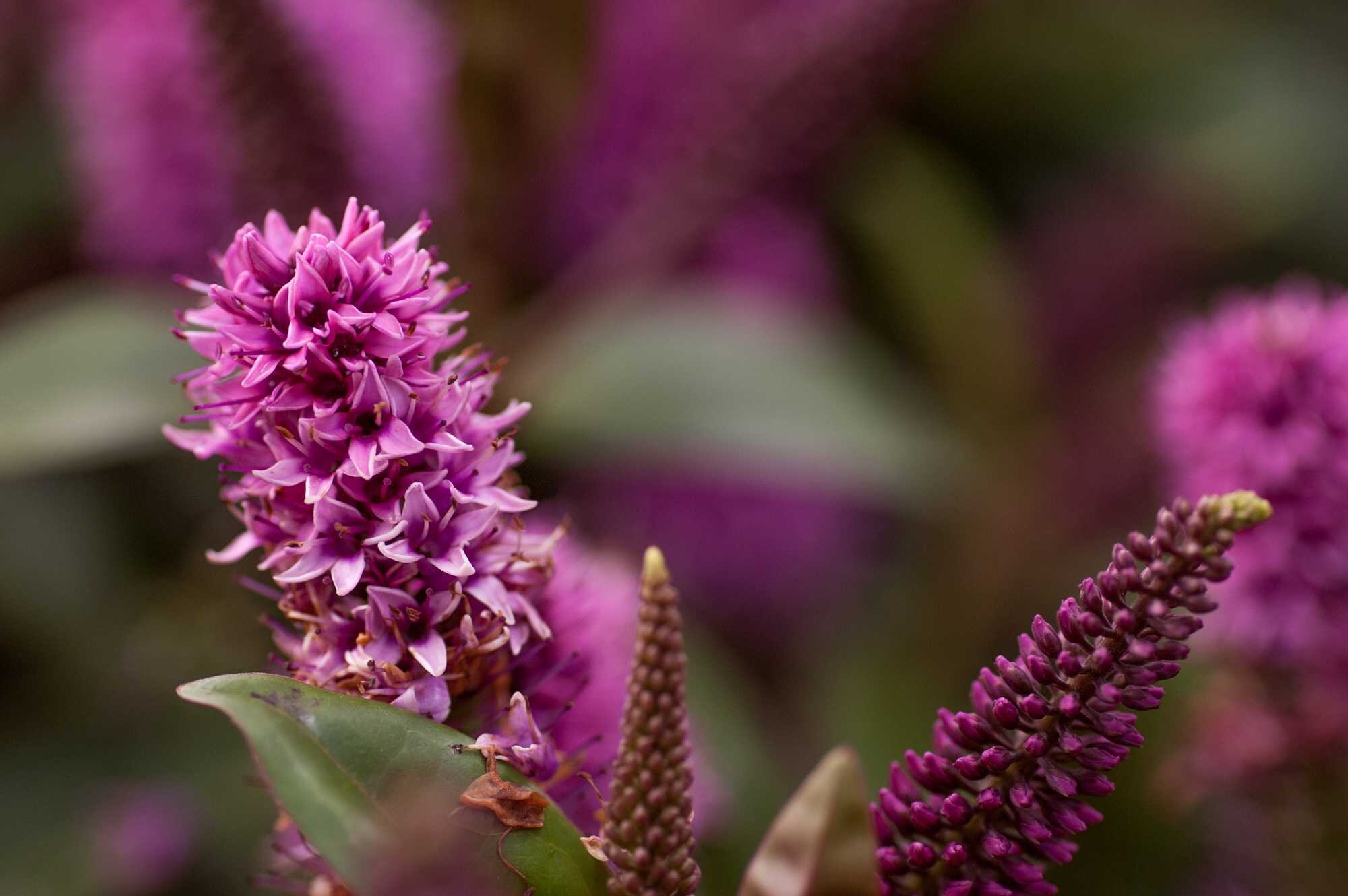 beeld vtwonen Shutterstock / Ania Klara