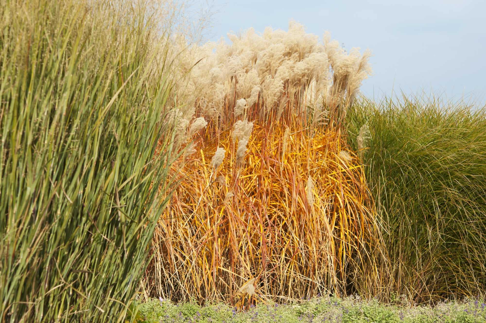 beeld vtwonen Shutterstock / olenaa