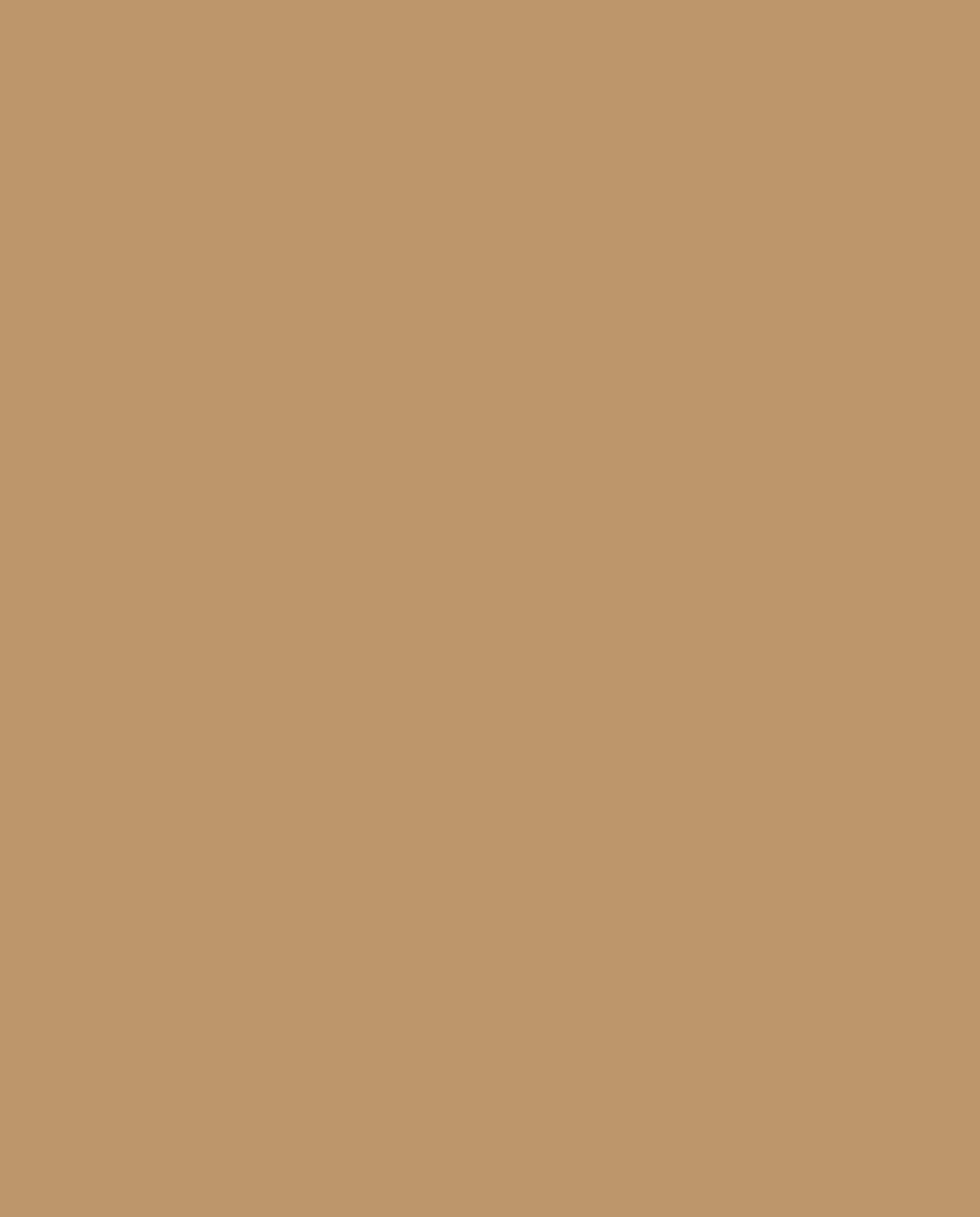 Ginger Gold kleur (kleur kan online afwijken) Ginger Gold kleur van Karwei
