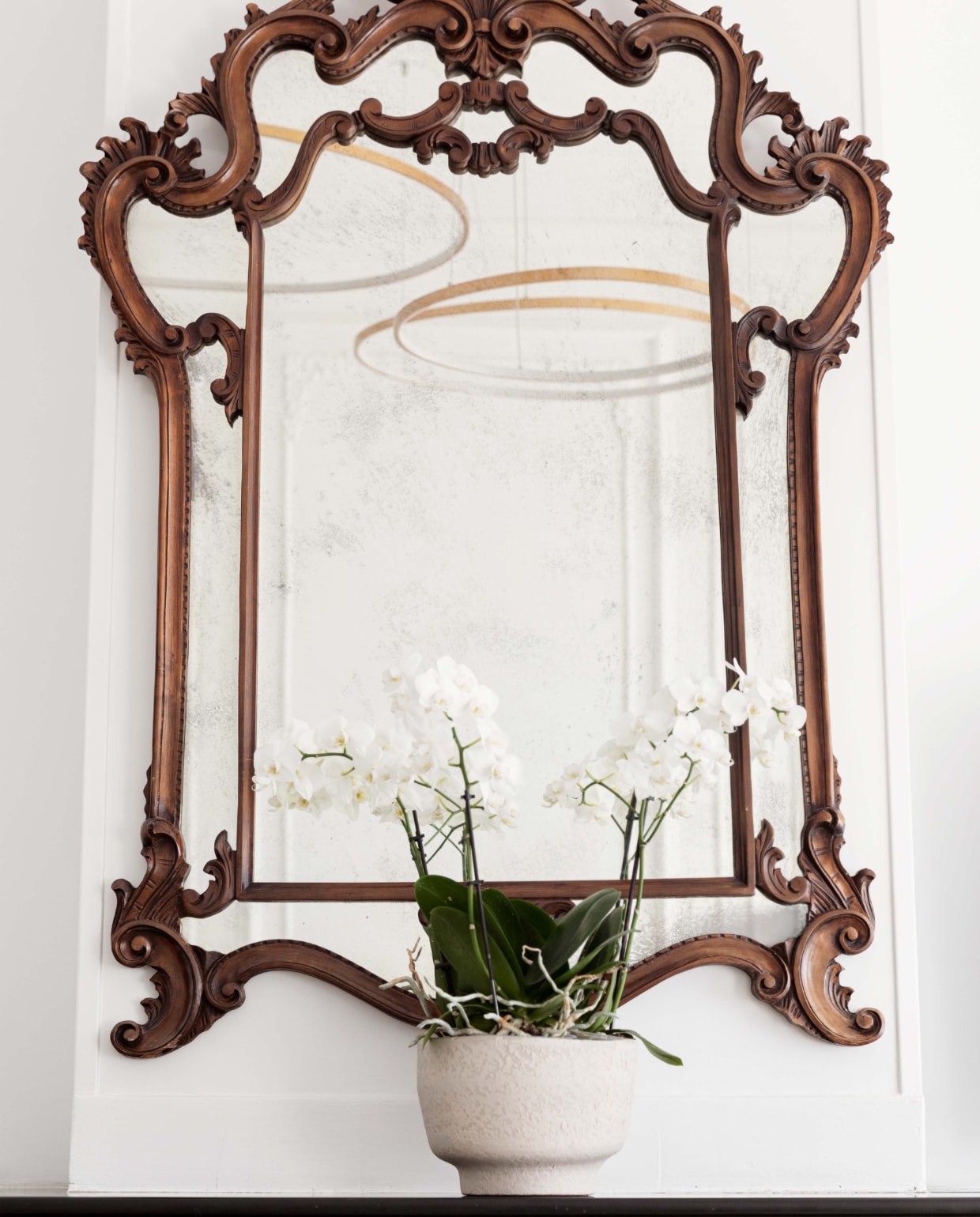 Spiegel Marktplaats. Bloempot H&amp;M home. Orchidee Intratuin. vtwonen 11-2022 | styling Ilona Jongepier | fotografie Brenda van Leeuwen