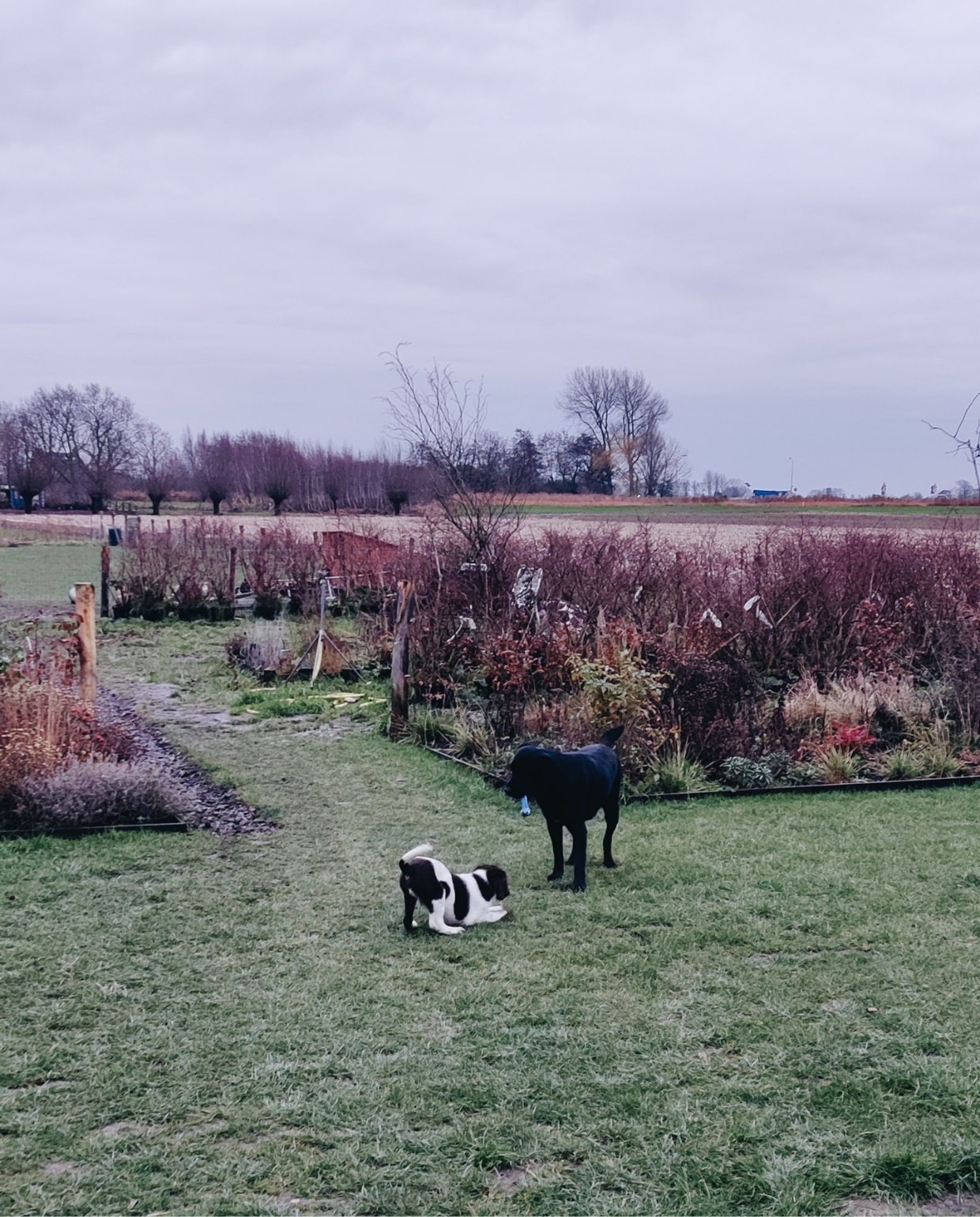beeld vtwonen Vivian en Mark