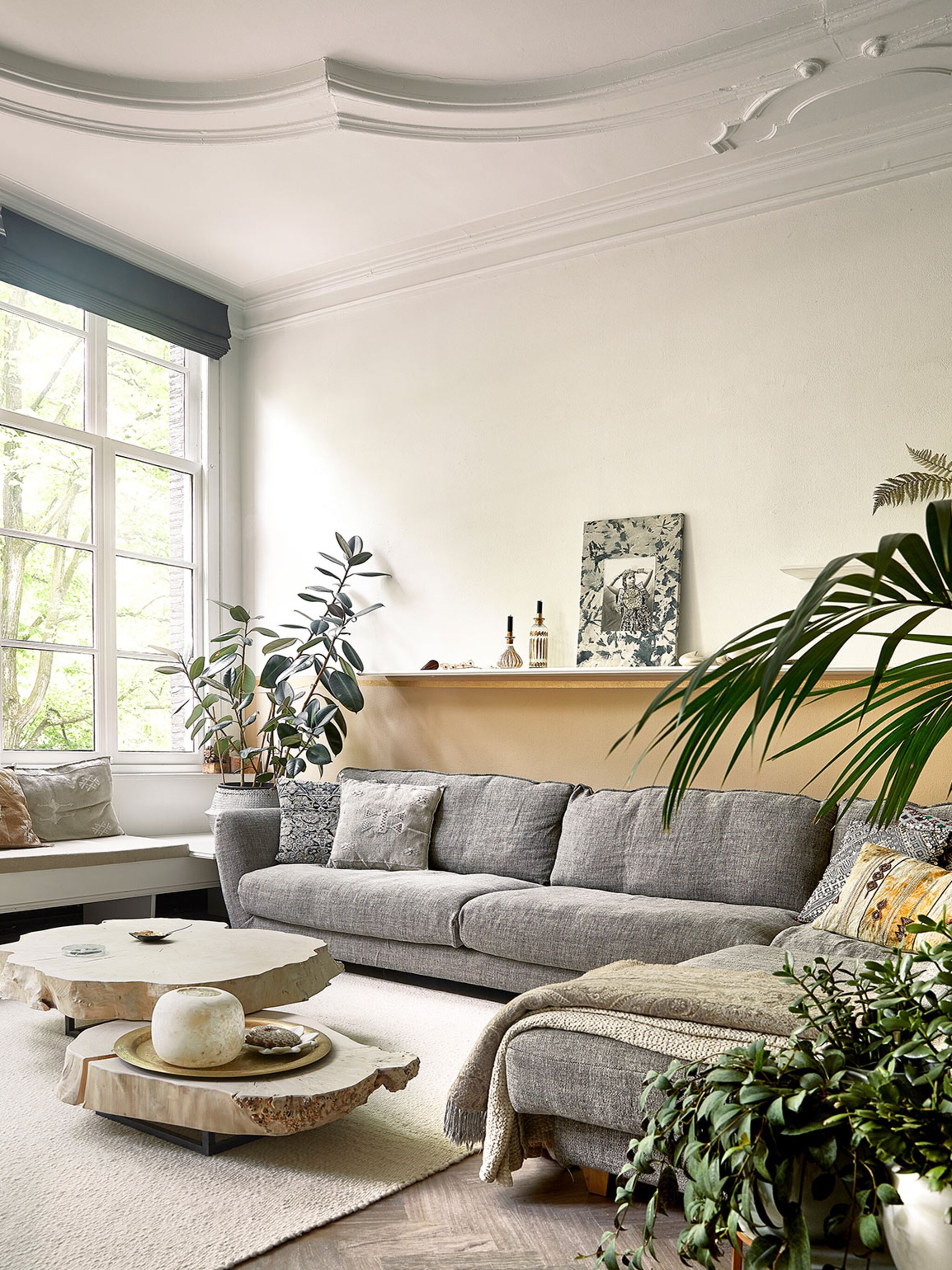 past in elk interieur haal vergrijsde kamerplanten in huis