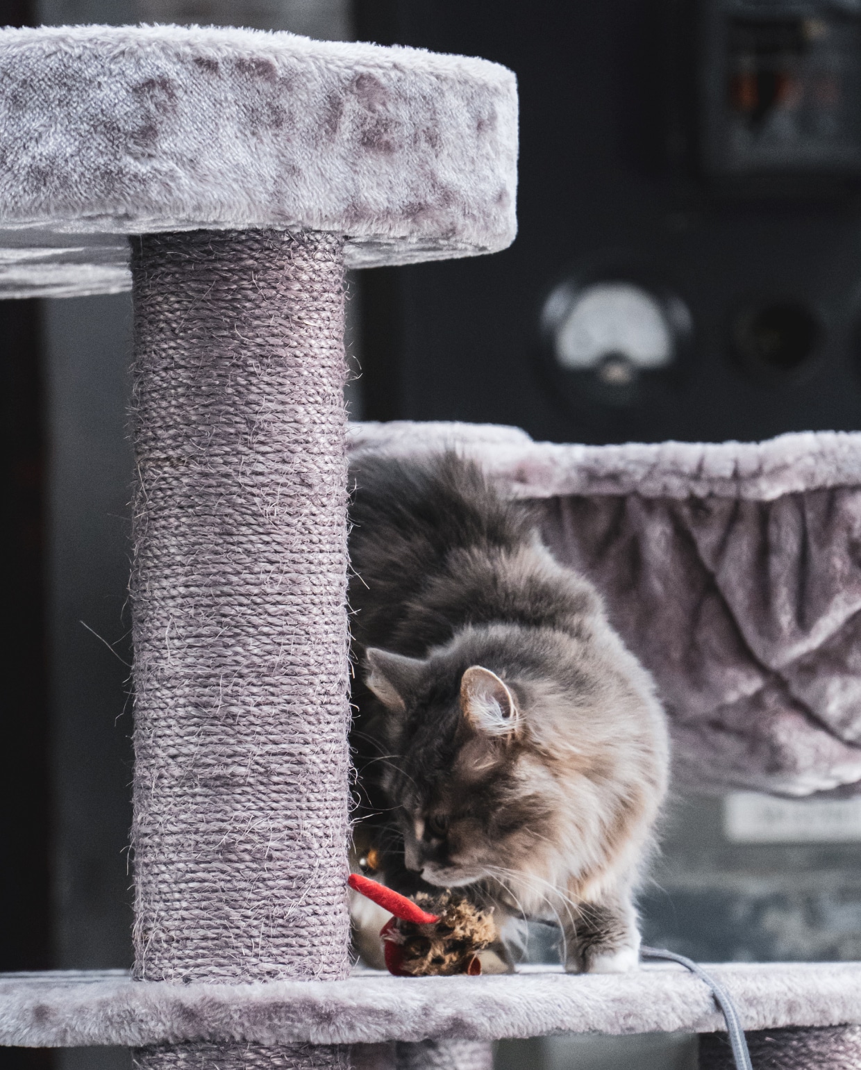 beeld vtwonen Unsplash