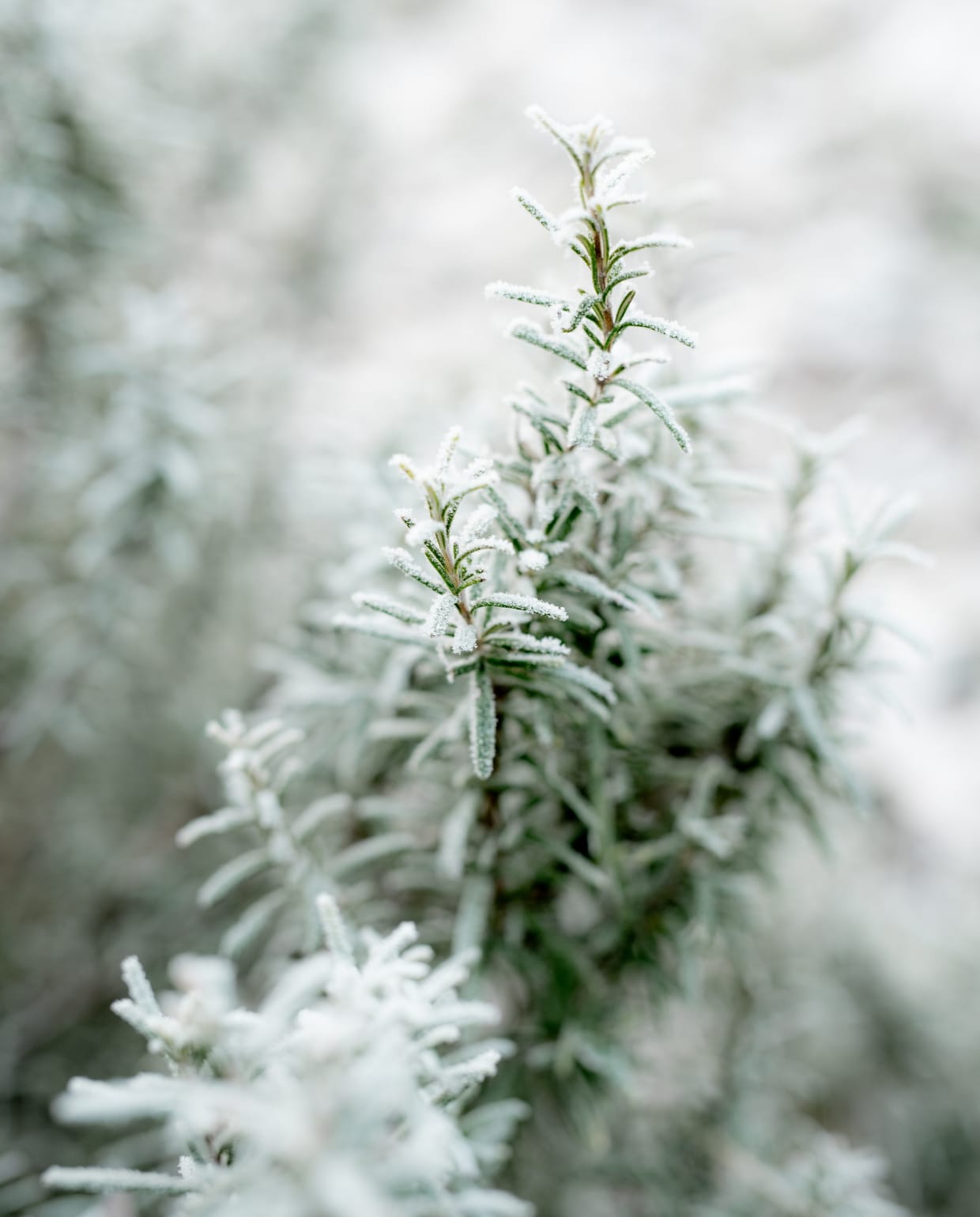 beeld vtwonen Unsplash