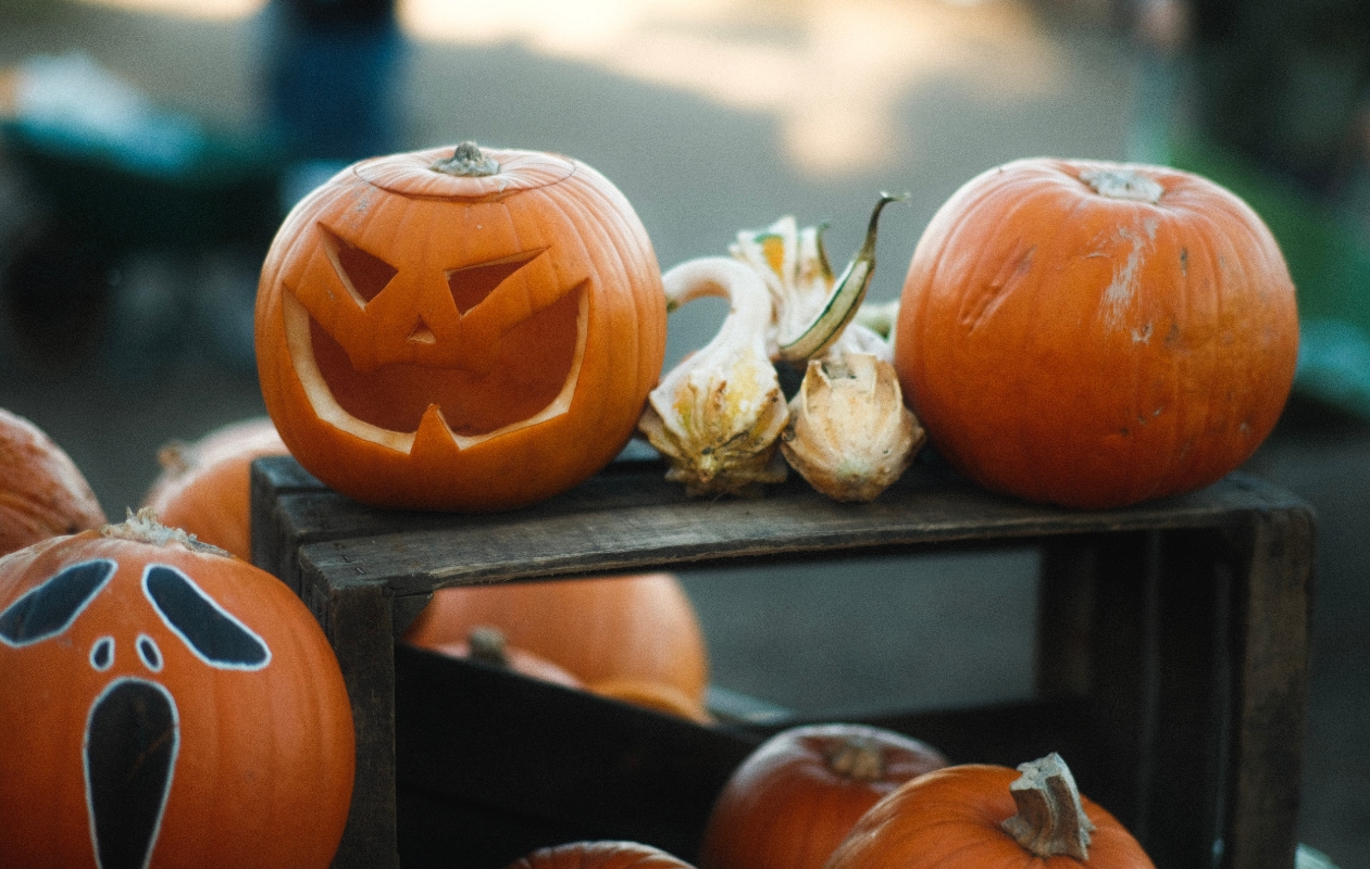 beeld vtwonen Unsplash