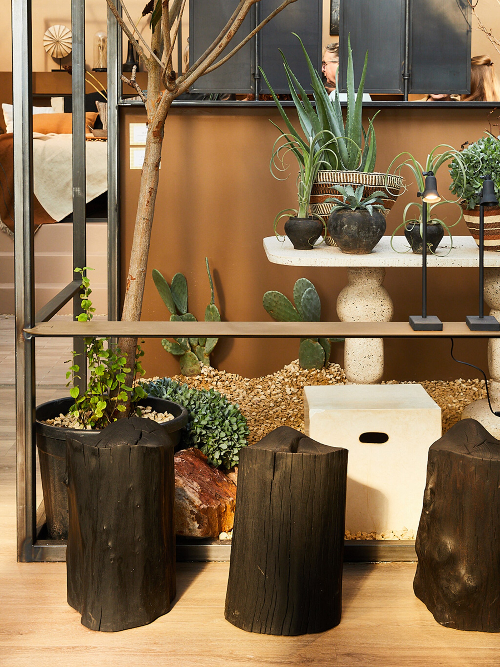 dit zijn alle producten uit de binnentuin van het travel loft huis van liza