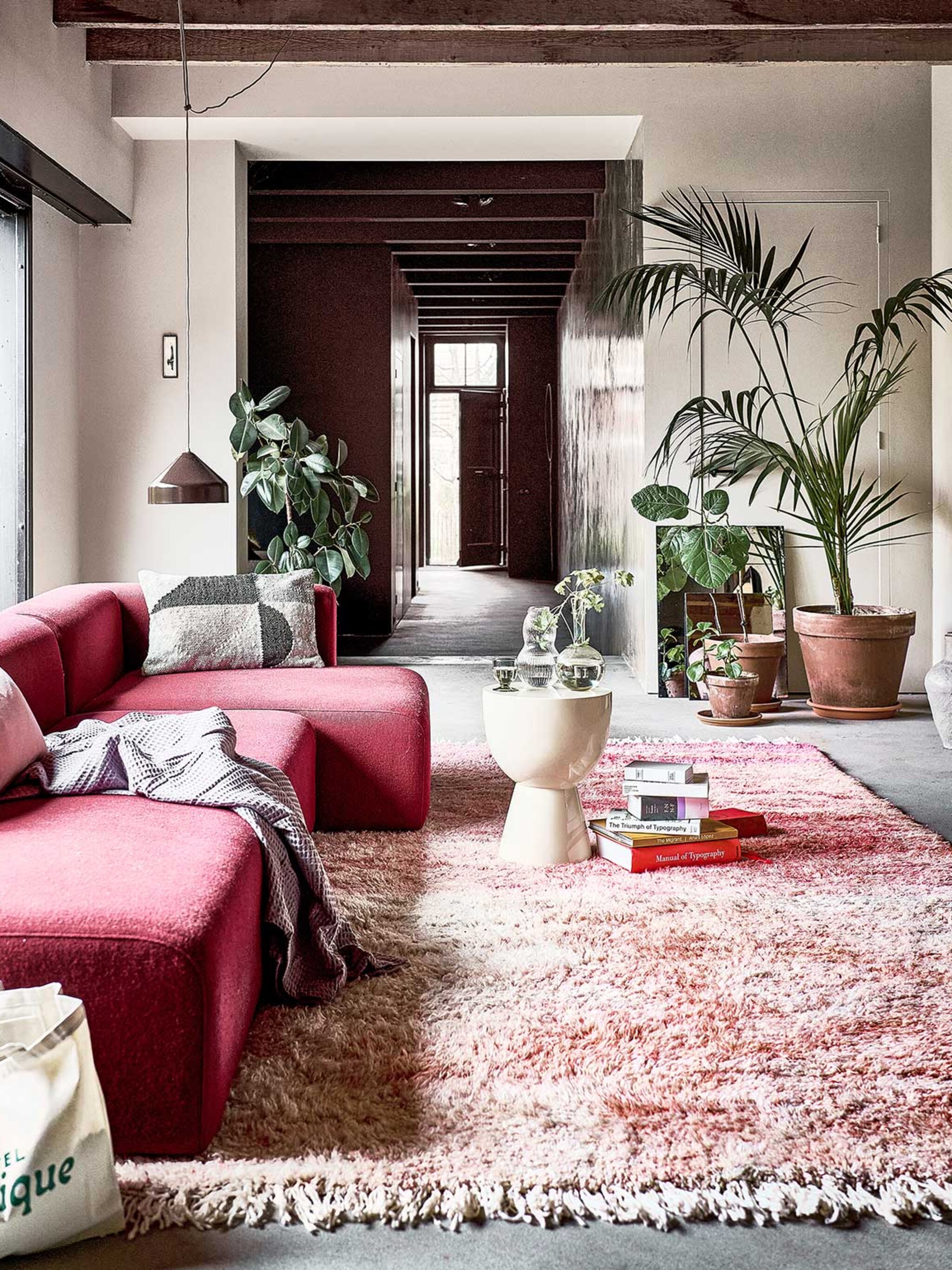 groen moet je doen perfecte planten voor in de woonkamer