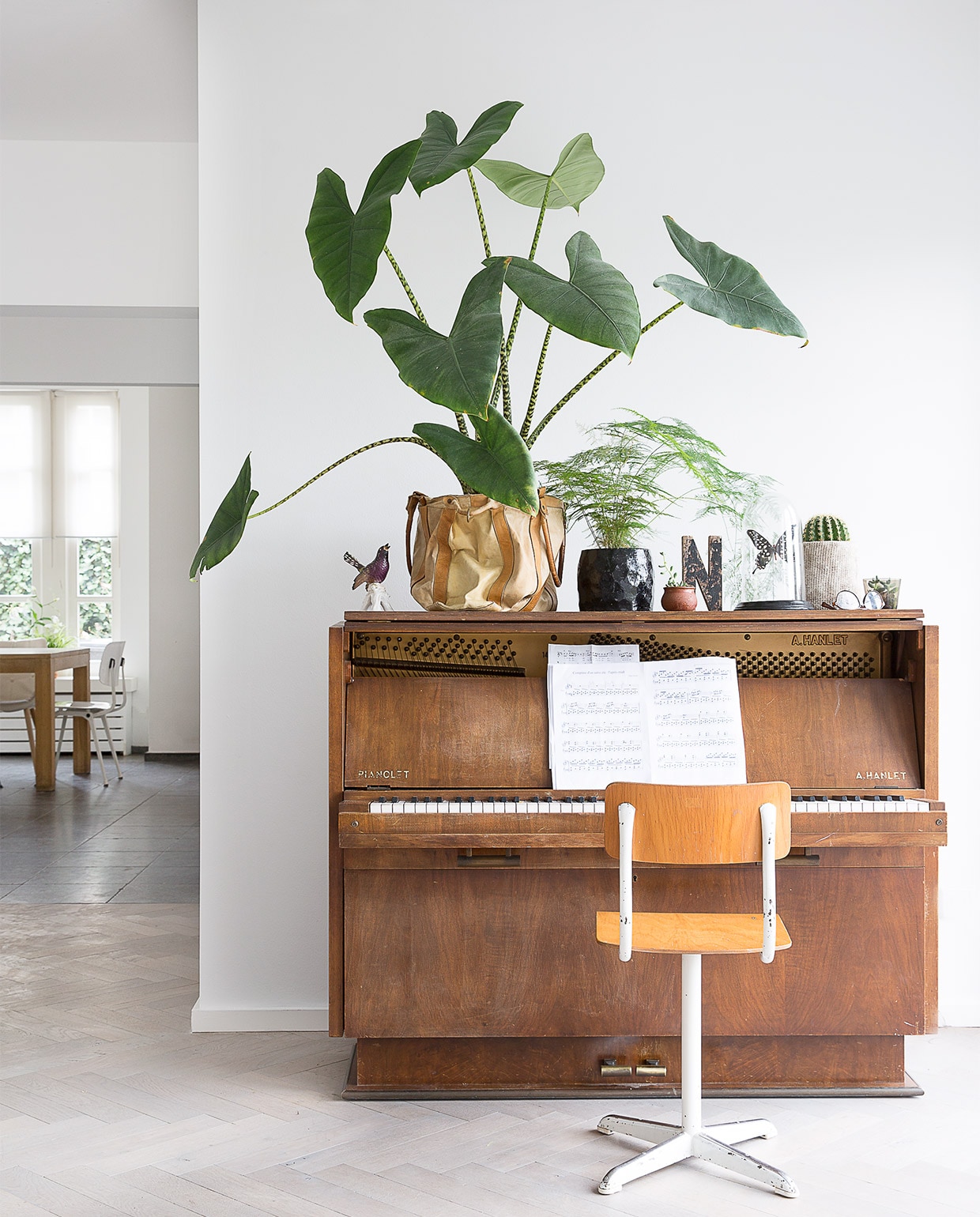 Grote plant op piano olifantsoor. Bloempot zelfgemaakt, uit vtwonen DIY 11-2015. JA | vtwonen 11-2015 | styling Rosalie Noordam | fotografie Anouk de \nKleermaeker