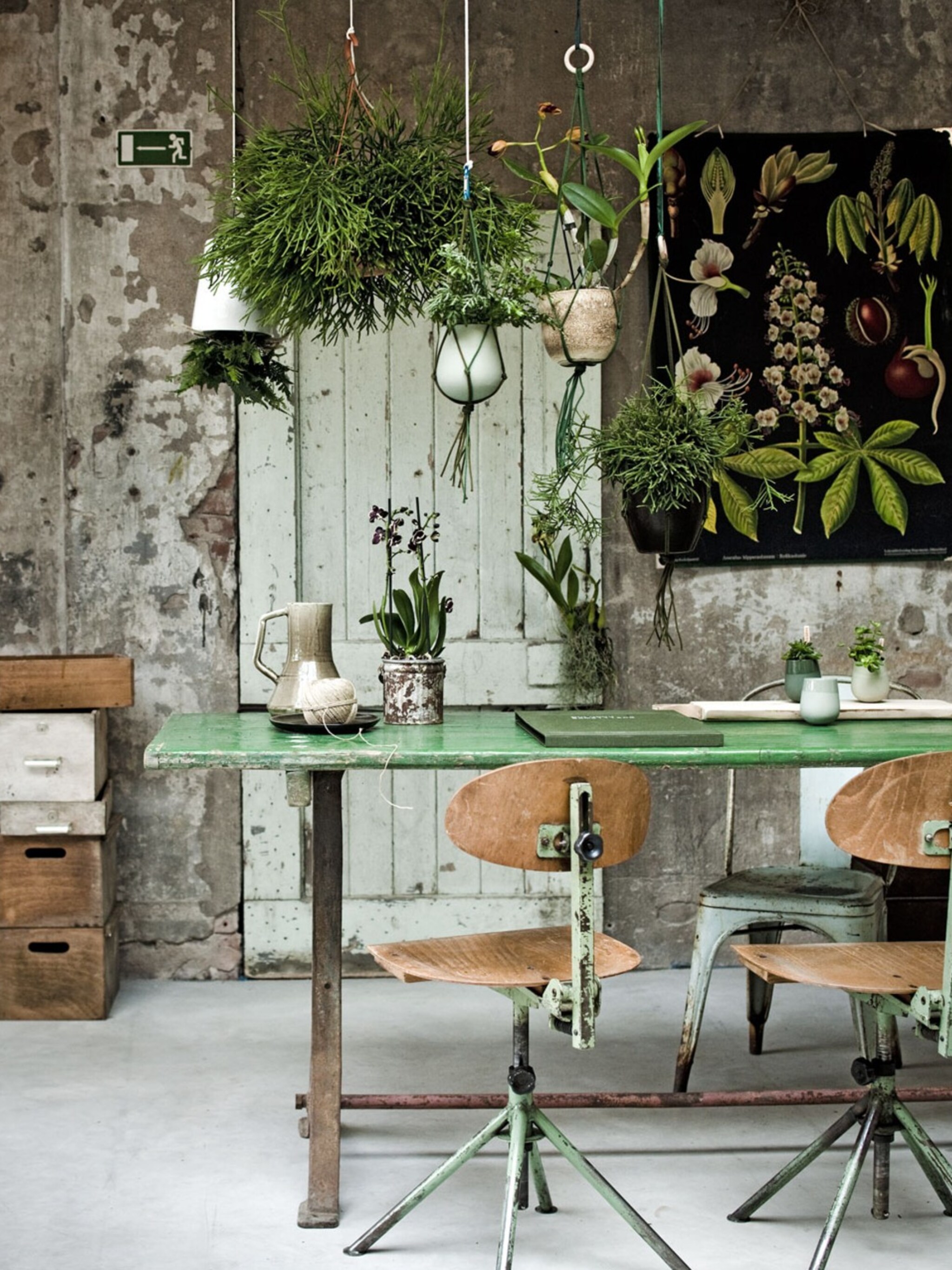 urban jungle maak van je woonkamer een groen paradijs met een budget van eur 500