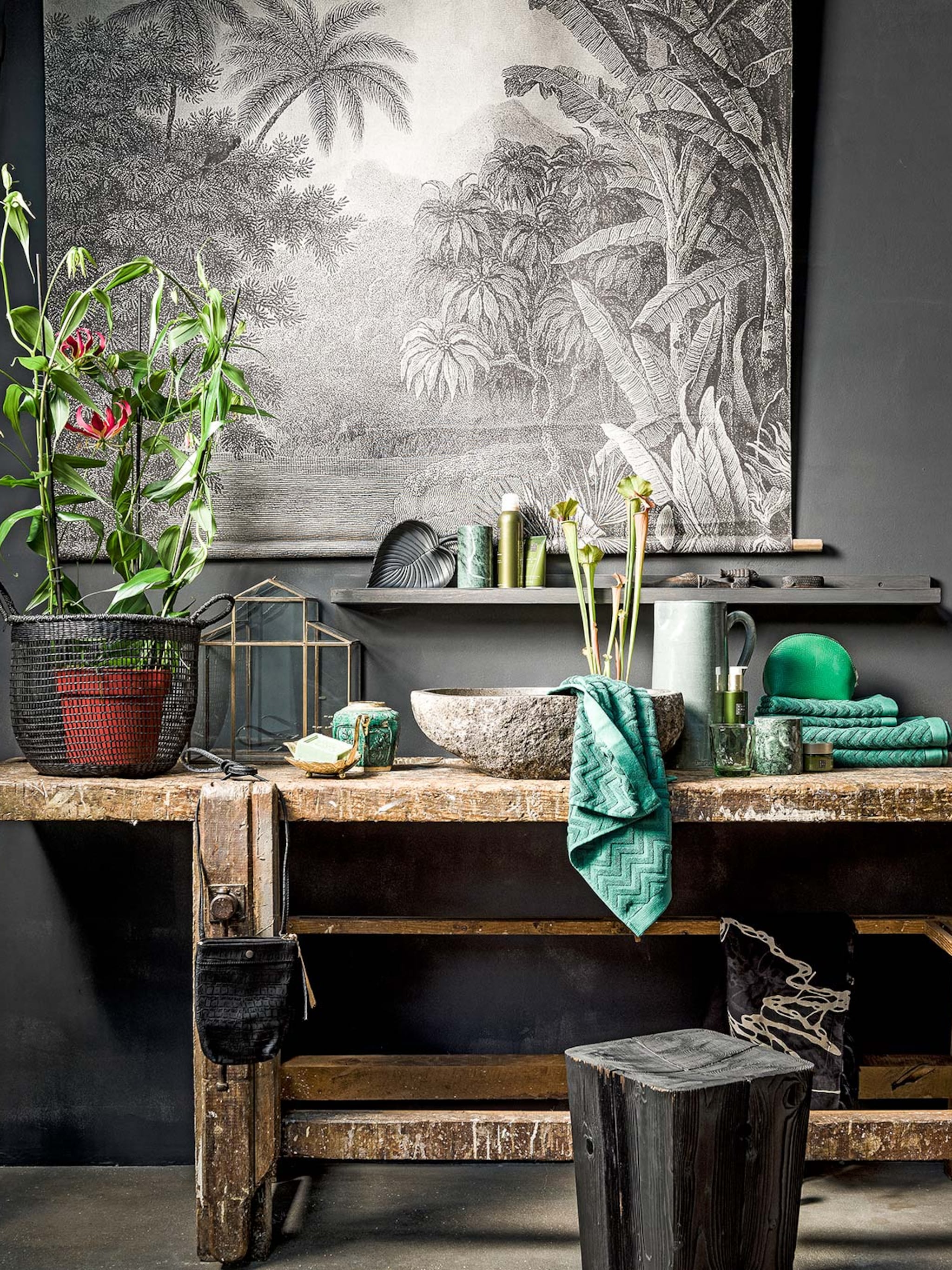 donkere badkamer vergroenen deze 5 badkamerplanten overleven zonder daglicht
