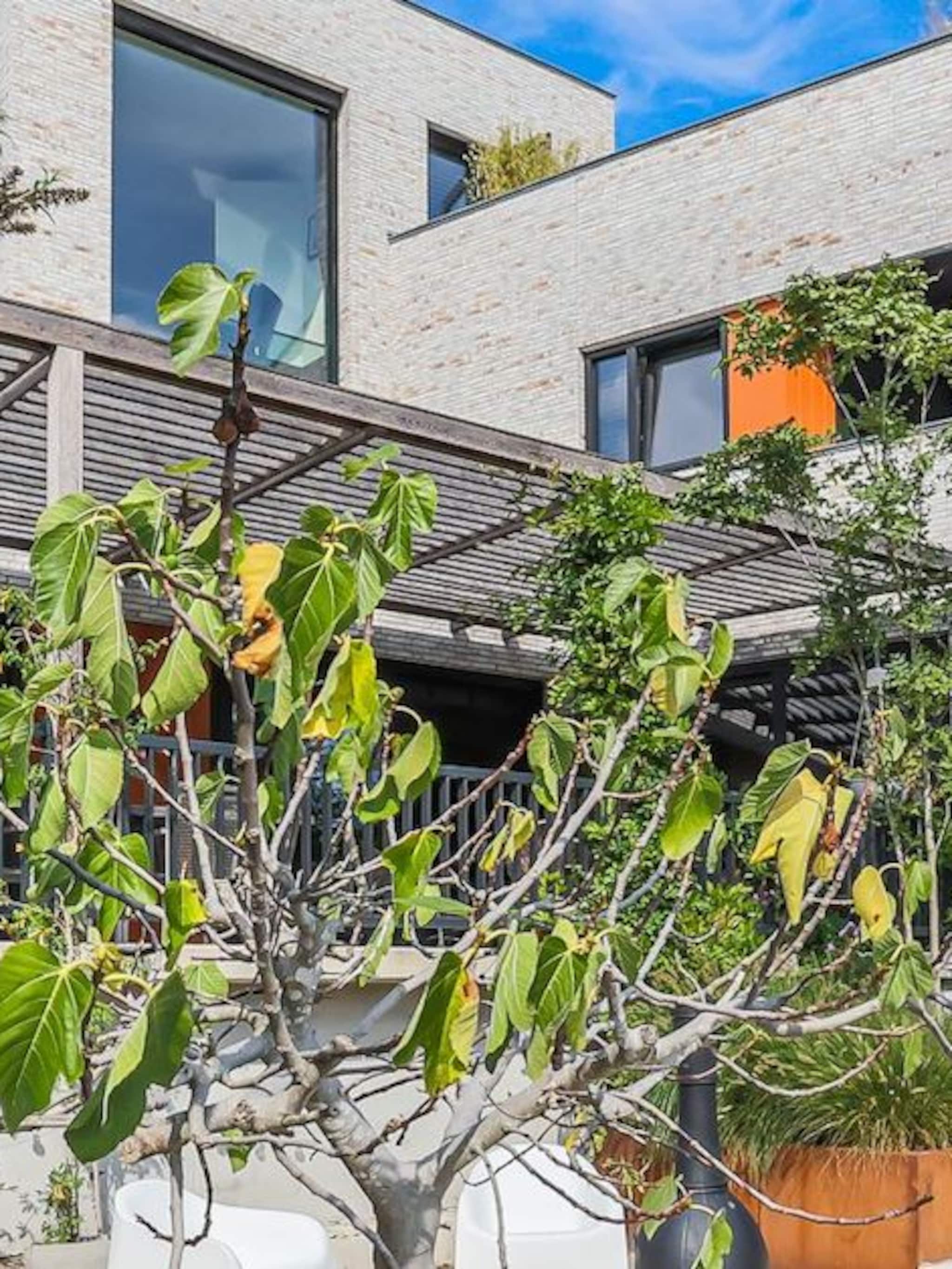 modern wonen aan het water deze luxe villa ademt design
