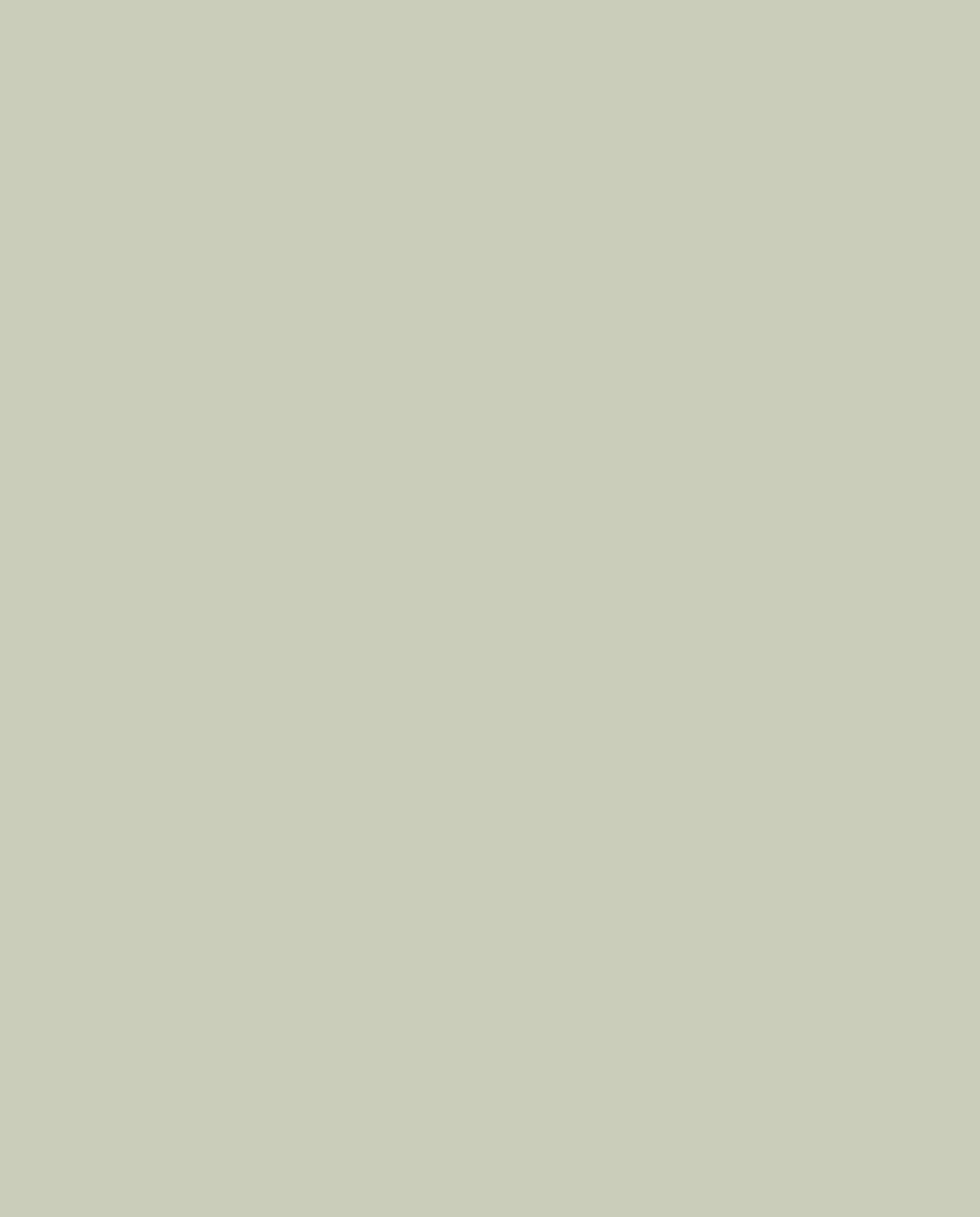 kleur Nordic Green van Karwei Karwei