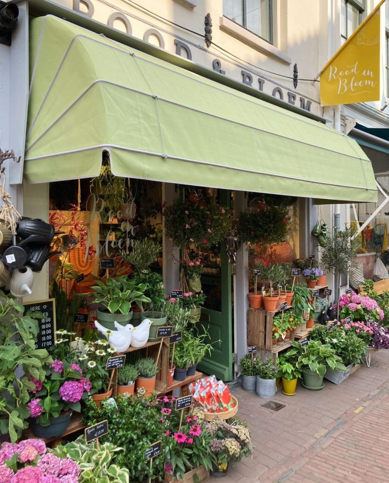 hallo domstad ga op citytrip naar utrecht