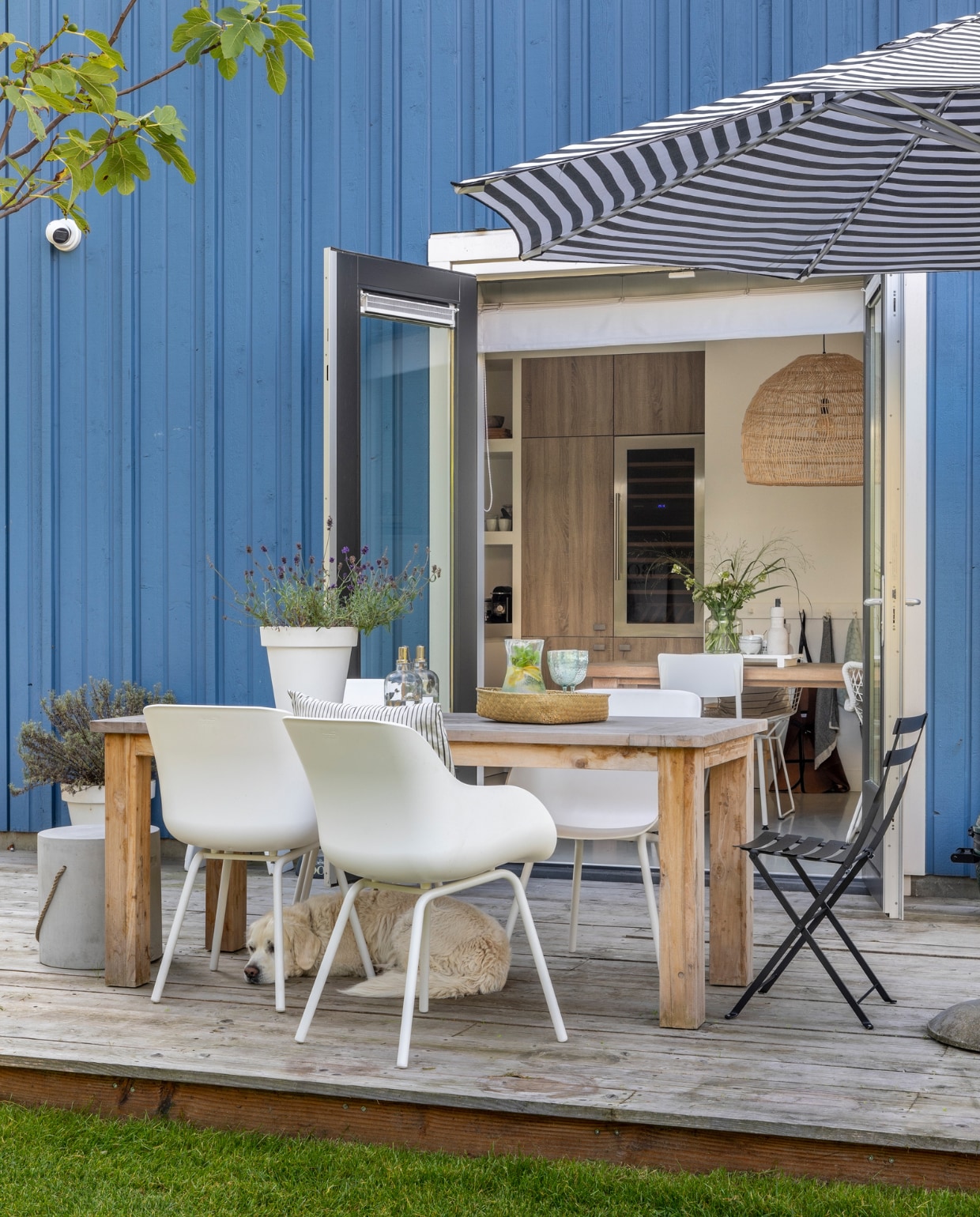 Wijnkoelkast Dunavox, tafel JoJo Living, stoelen Hartman, bistrostoel Fermob, mand op tafel Zusss, glazen Bomont Renesse. Kan en kruk Loods 5. Olielampen Intratuin, bloempotten Kwantum. Kussen H&amp;M, parasol Karwei. vtwonen 08-2022 | productie Cocofeatures | fotografie Denise Zwijnen