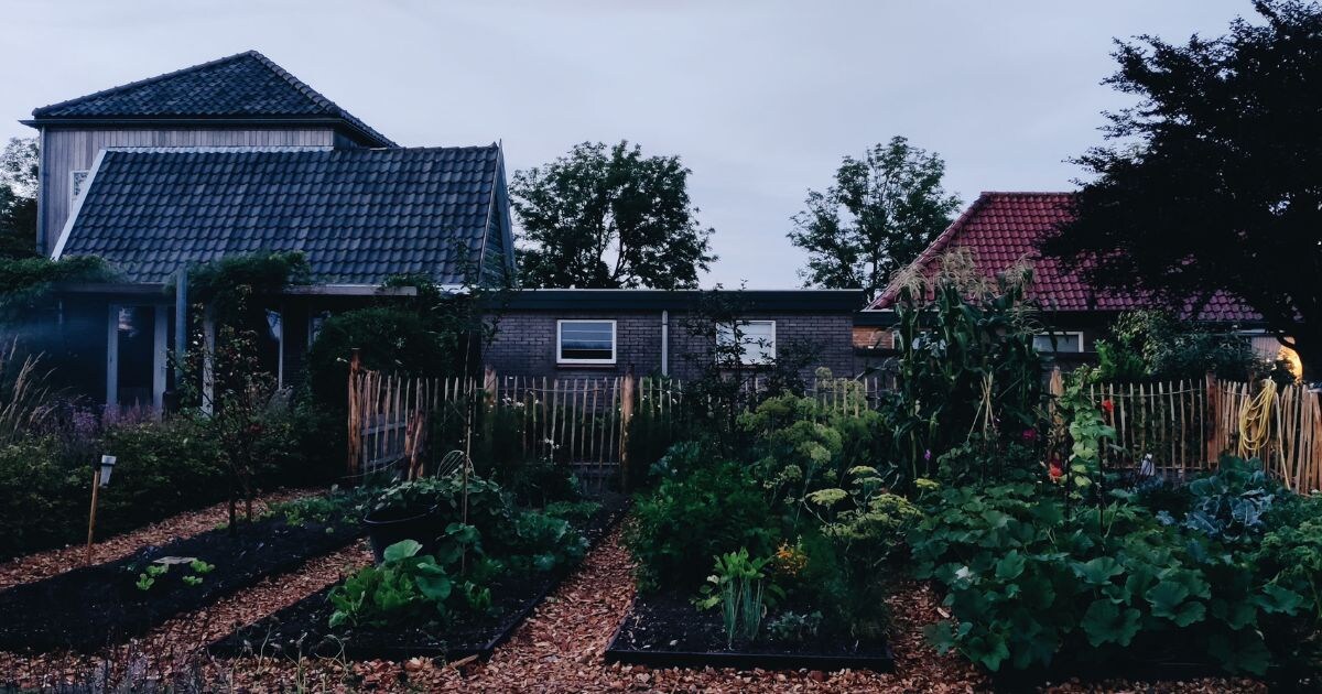 beeld vtwonen