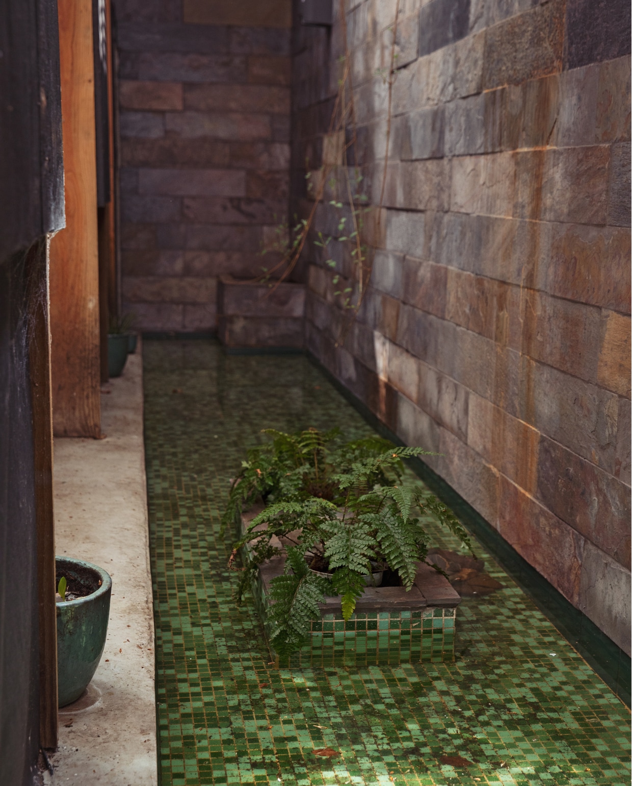 Bodem van de lichtschacht met lage, betegelde vijver en waterplanten. vtwonen 07-2022 | styling Ilona Jongepier | fotografie Dana van Leeuwen