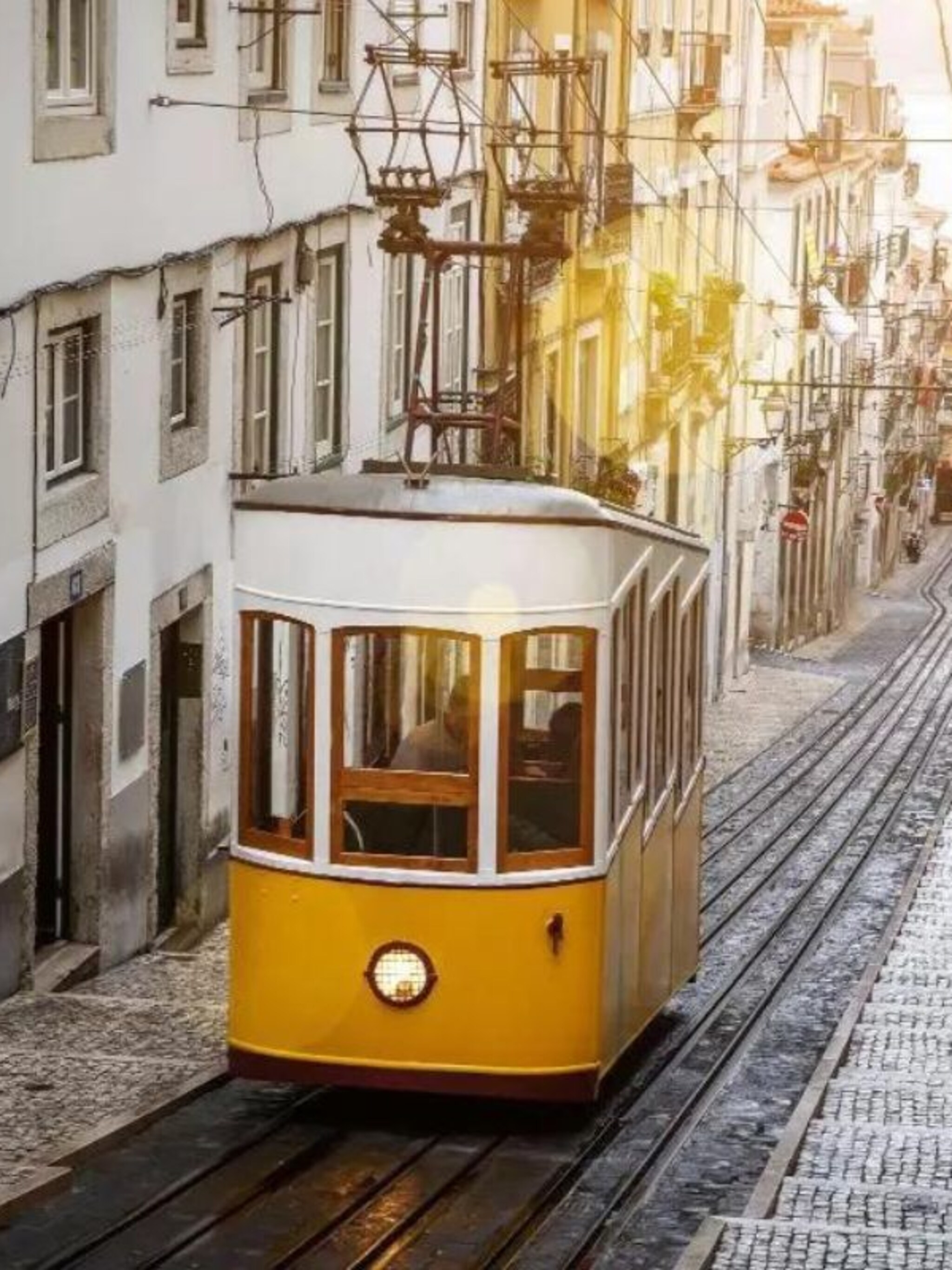 liefde voor lissabon hotspots voor je volgende citytrip