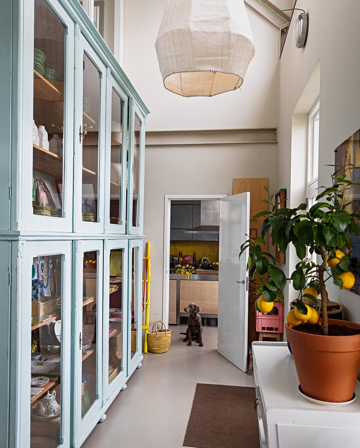 De hal loopt door tot in de nok. Hoge kast Van Dijk &amp; Ko. Hanglamp meegenomen uit Zuid-Afrika. Oude commode van Karens ouders met daarop een citroenboompje. vtwonen 07-2021 | styling Ilona Jongepier | fotografie Dana van Leeuwen