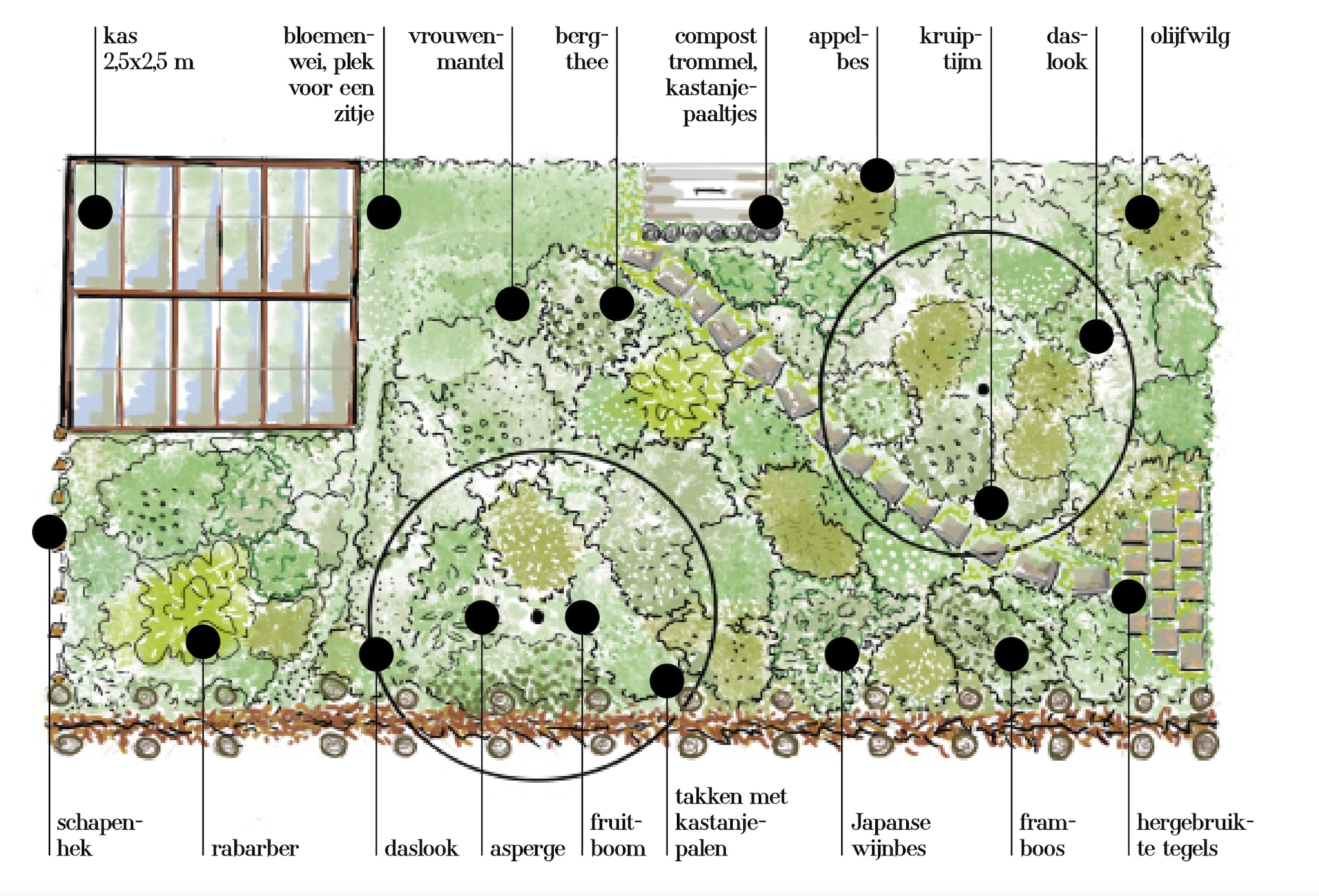 beeld vtwonen vtwonen TUIN 05-2022 | Productie en tekst Helmke van Geel