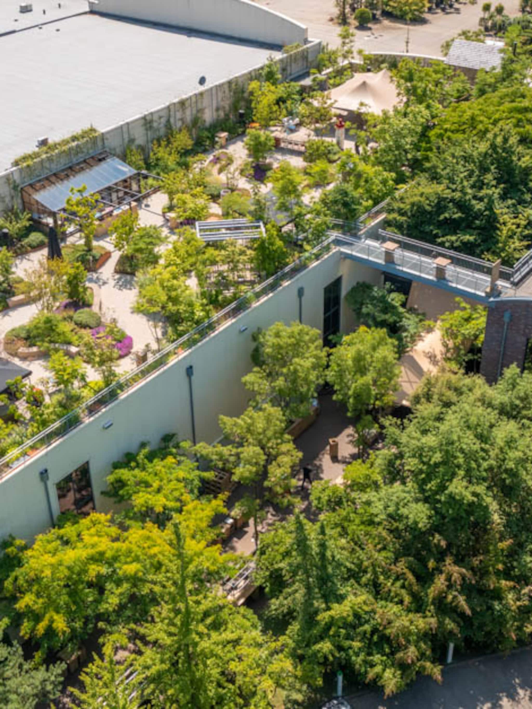 groen hoogstandje deze eetbare daktuin wint de rooftop award 2022
