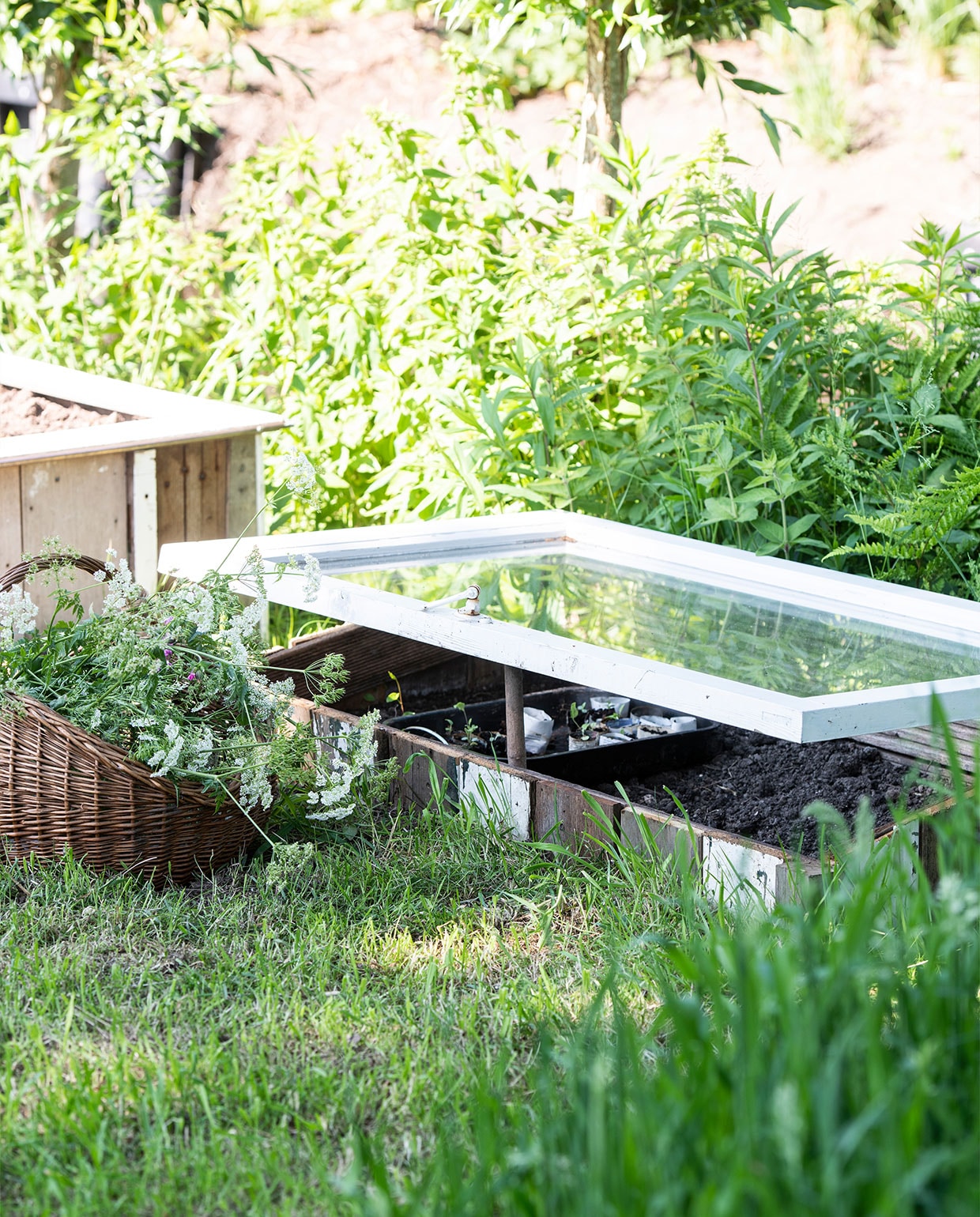 Kweekbak gemaakt door Martin met een oud kozijn als deksel, mand Kringloop Vintage &amp; More. vtwonen tuin special 5 | Productie Insidehomepage | Styling Myla Griese | Fotografie Louis Lemaire