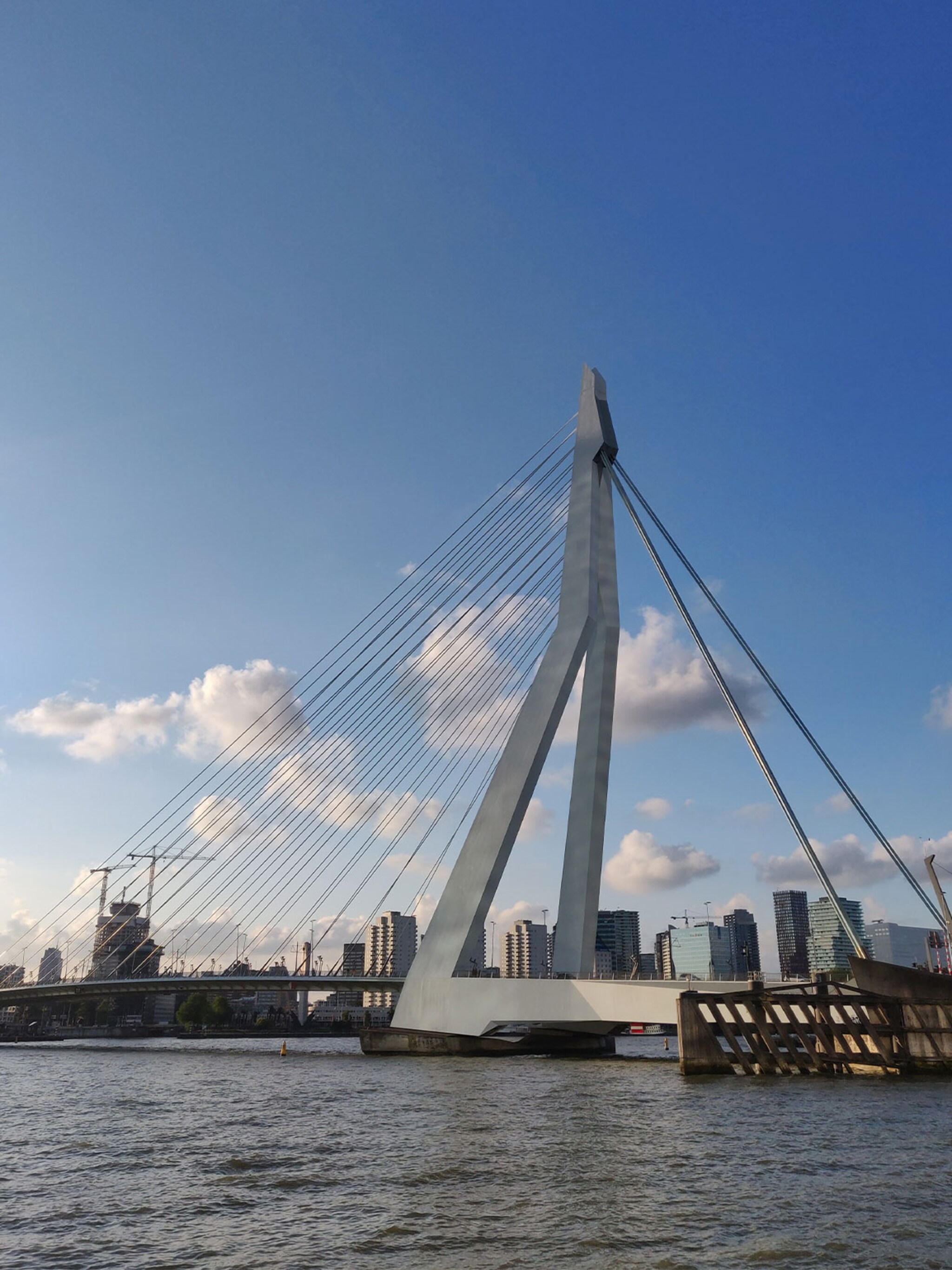 hotterdam alle hotspots voor een citytrip naar rotterdam