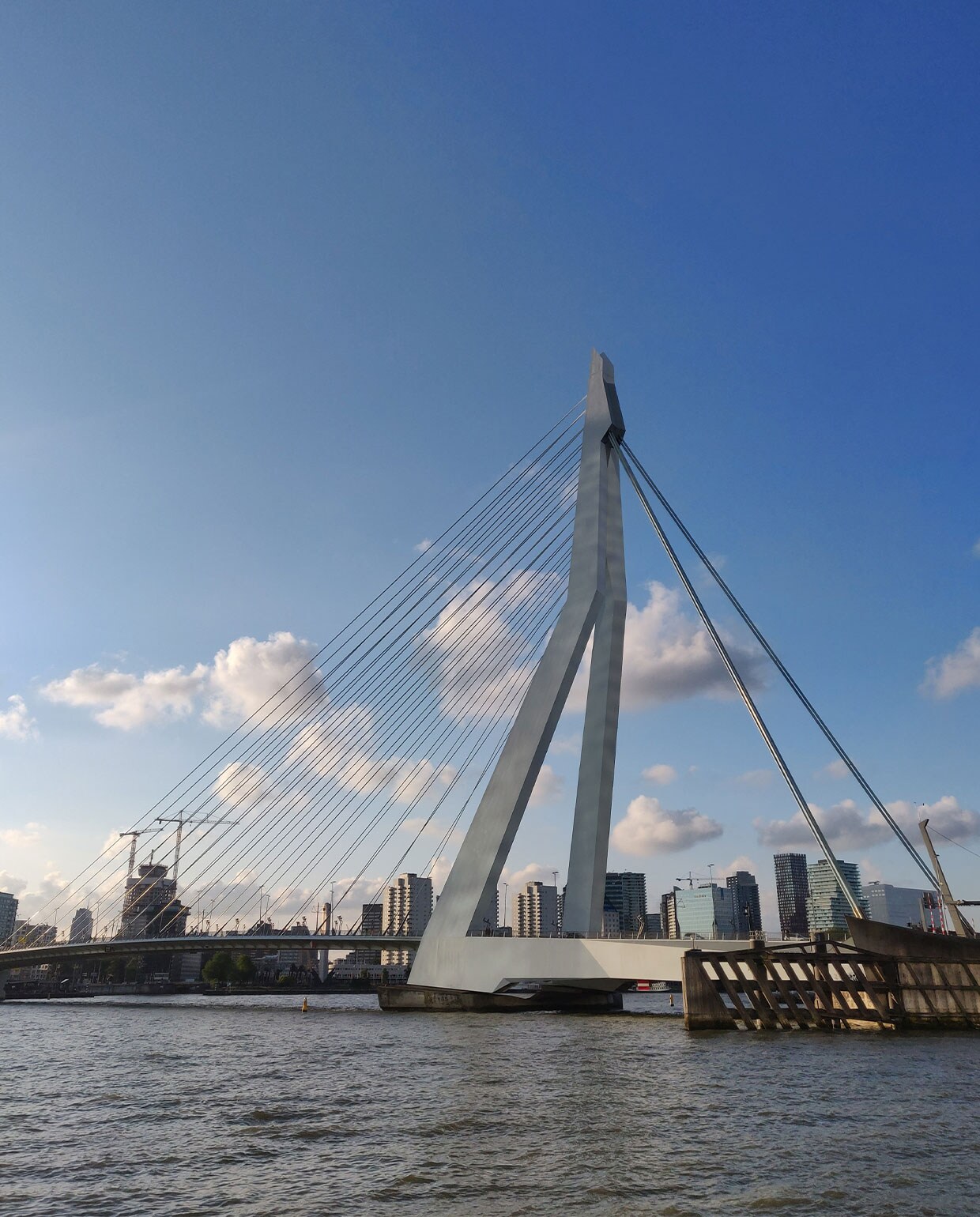 Erasmusbrug Rotterdam | Foto door: Yara Wagner NEE | Hotspots Rotterdam | Yara Wagner