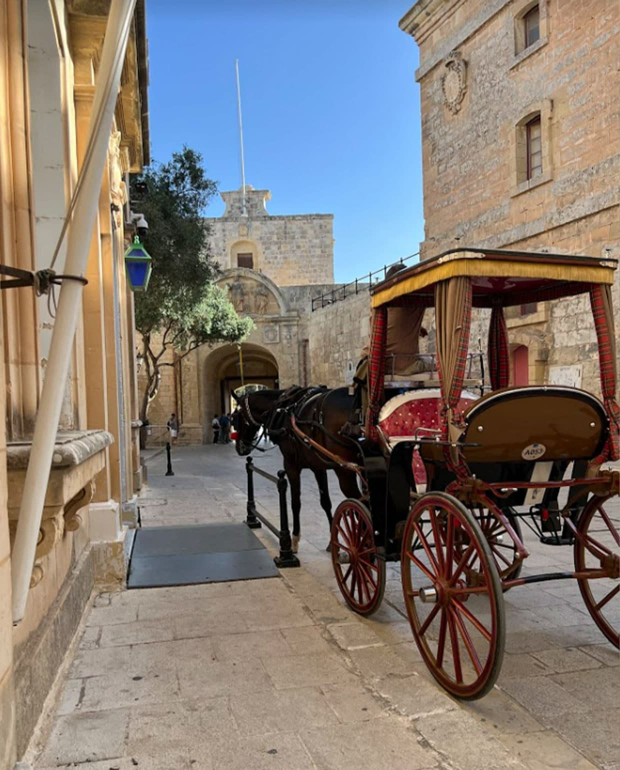Mdina NEE | Adeline Mans