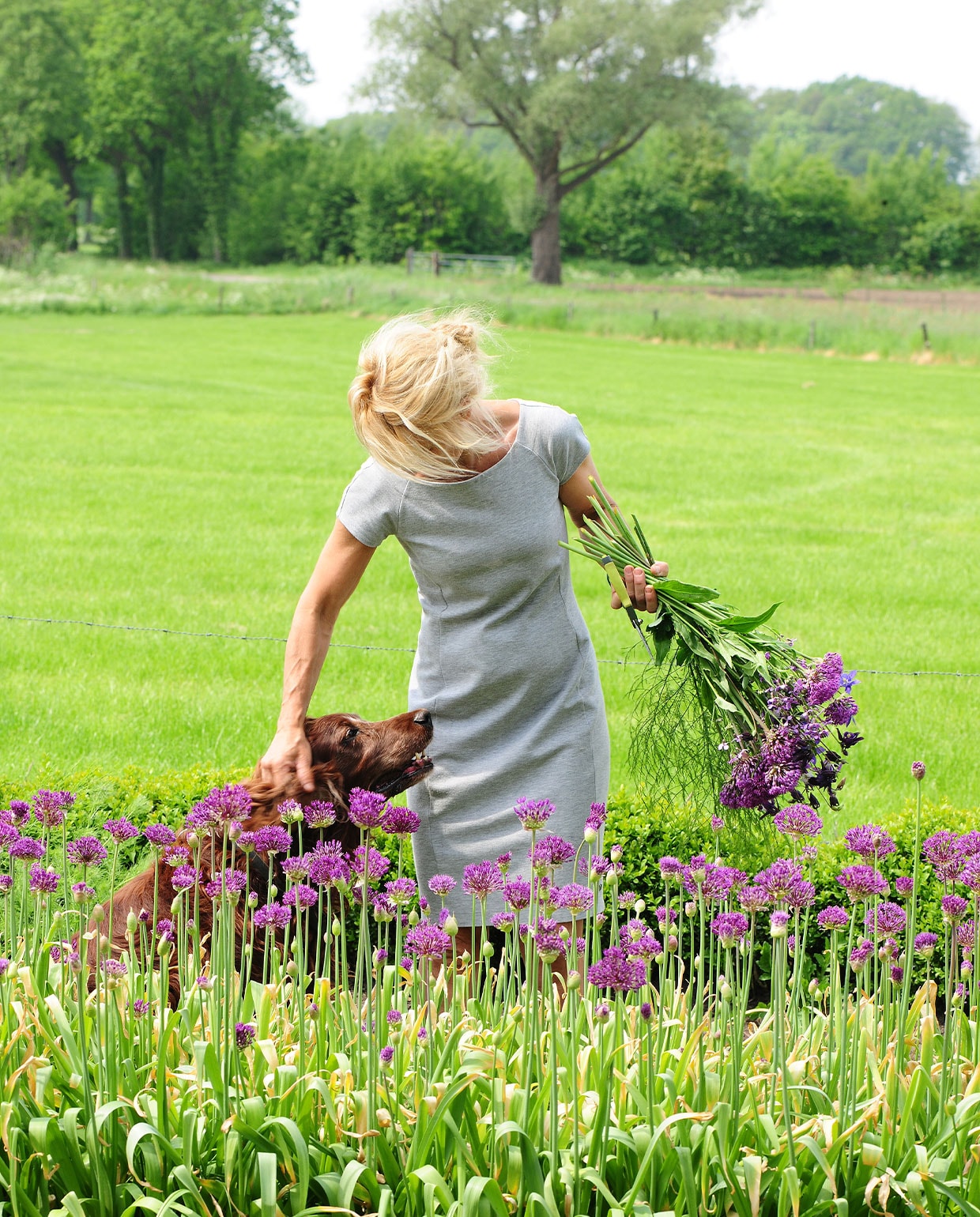 Miriam aan het werk in haar snijbloementuin, tussen de alliums. NEE | vtwonen TUIN special 04 | fotografie Sietske de Vries | tekst Eveline Stoel
