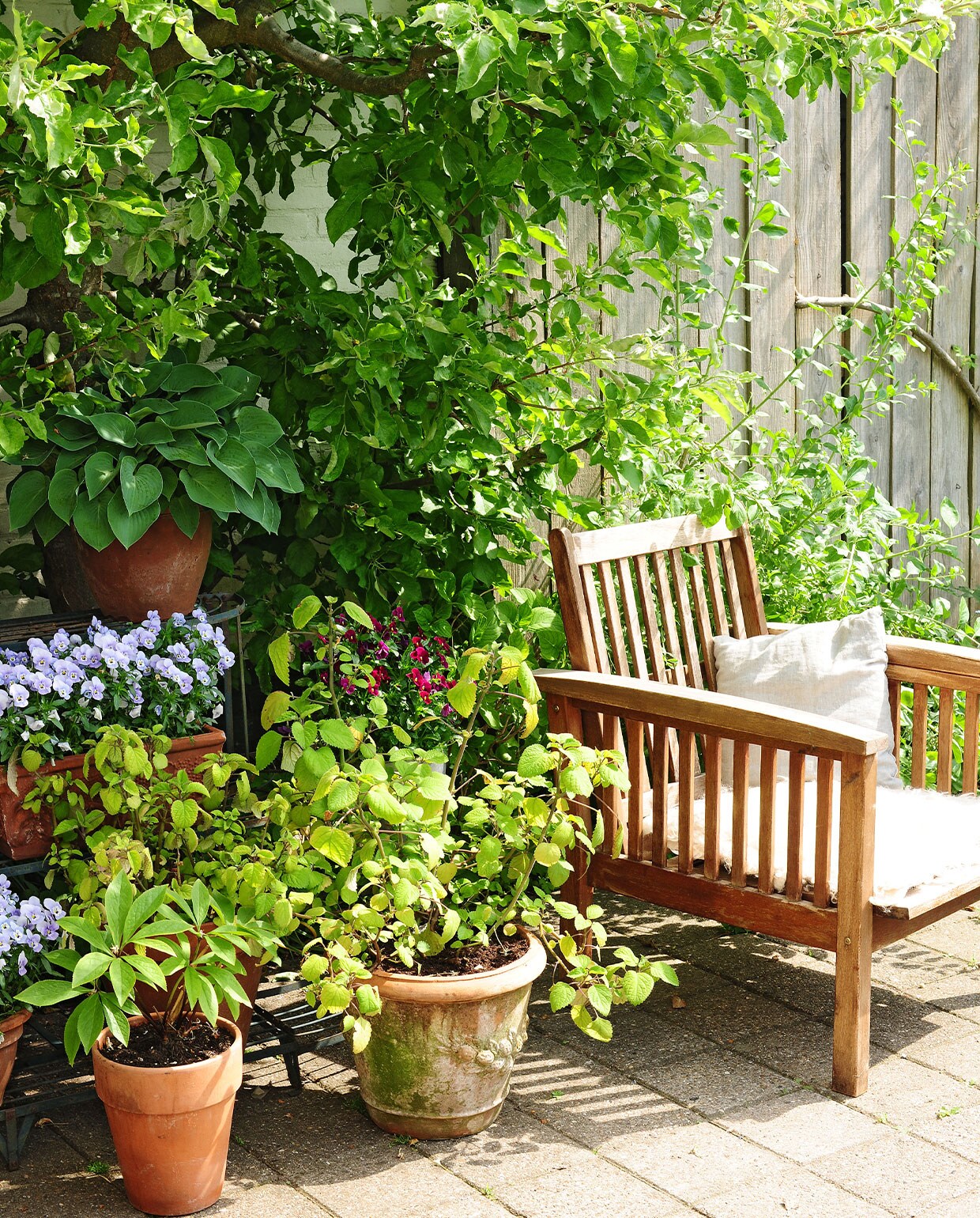 De tuinstoel kocht Miriam voor 3 euro bij een kringloopwinkel. Ernaast staan potten met onder meer plectranthus. Achter de stoel staat een appelboom. vtwonen tuin special 04 | fotografie Sietske de Vries